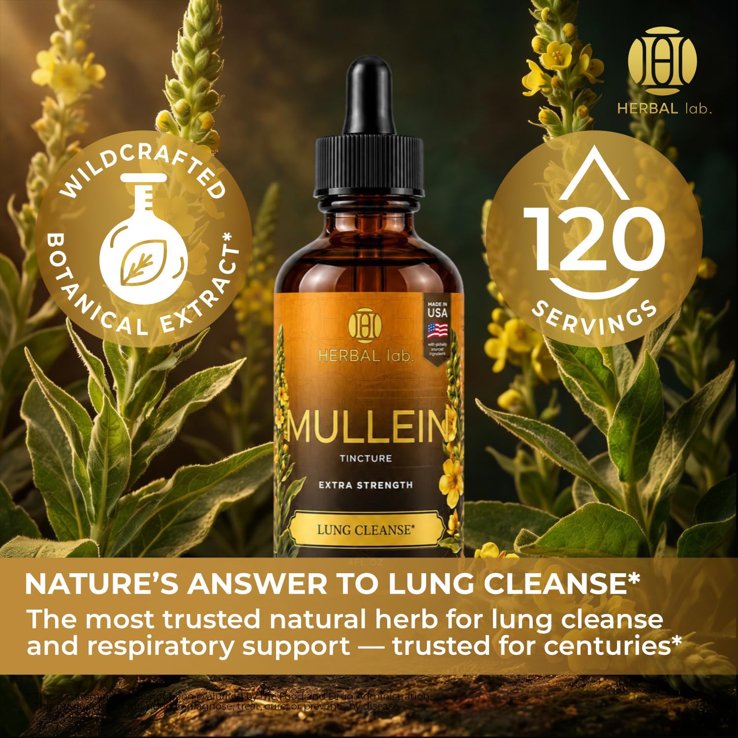 Mullein Drops for Lungs – Mullein Leaf Extract - Lung Cleanse & Respiratory Support – Lung Detox for Smokers - Made in USA — Amazon image 2