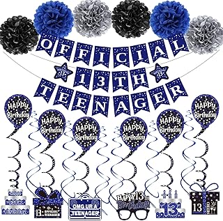 13th Birthday Decorations for Boys Girls, Blue Official 13th Teenager Banner Party Decorations, Happy Thirteen Birthday Decor Double-Sided Card Pompoms Hanging Swirl for 13 Years Teenagers Gifts 48pcs