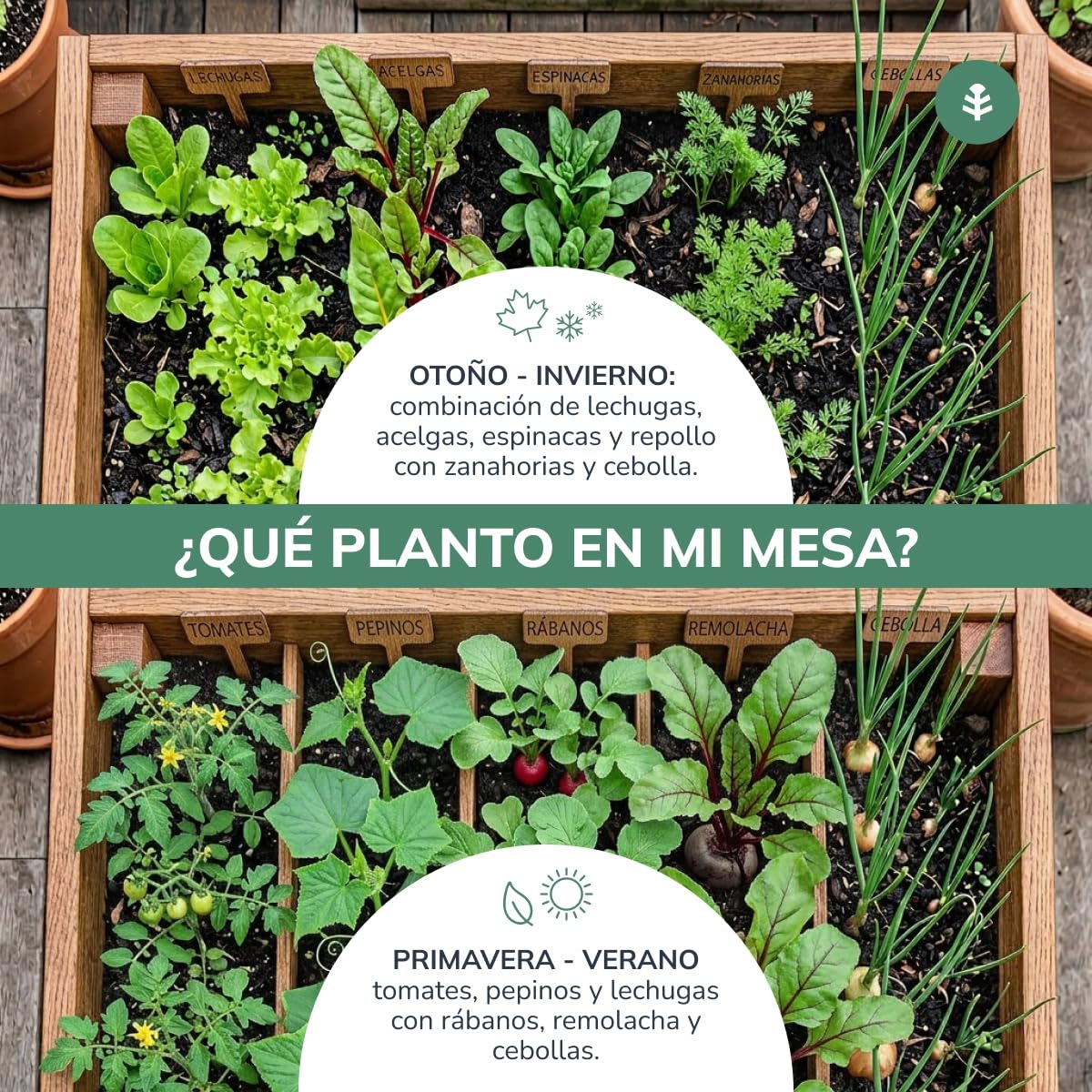 Planeta HUERTO | Mesa de Cultivo de Madera FSC 160x80x80 cm, Huerto Urbano Elevado con Malla Geotextil, Capacidad 220 L y Pizarra Personalizable - Mesa de Cultivo Ideal para Terraza y Jardín