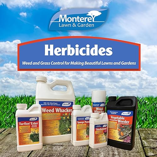 Miniatura 9 de Monterey LG5518 - Turflon éster herbicida para controlar bermudagrass