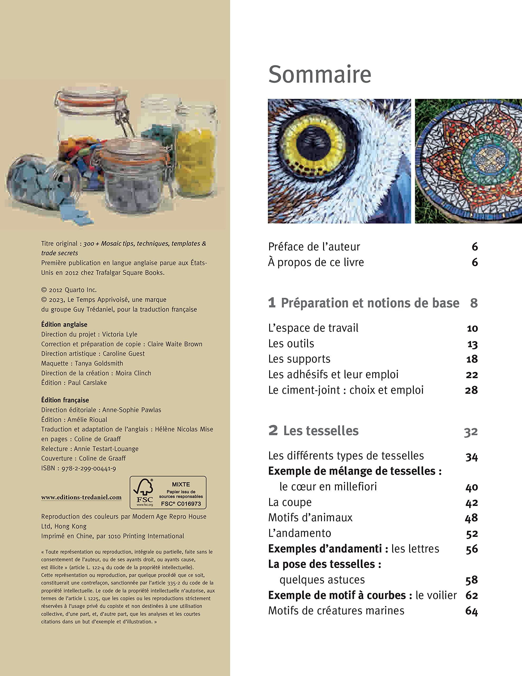 Mosaïque - 300 astuces, techniques et secrets de fabrication