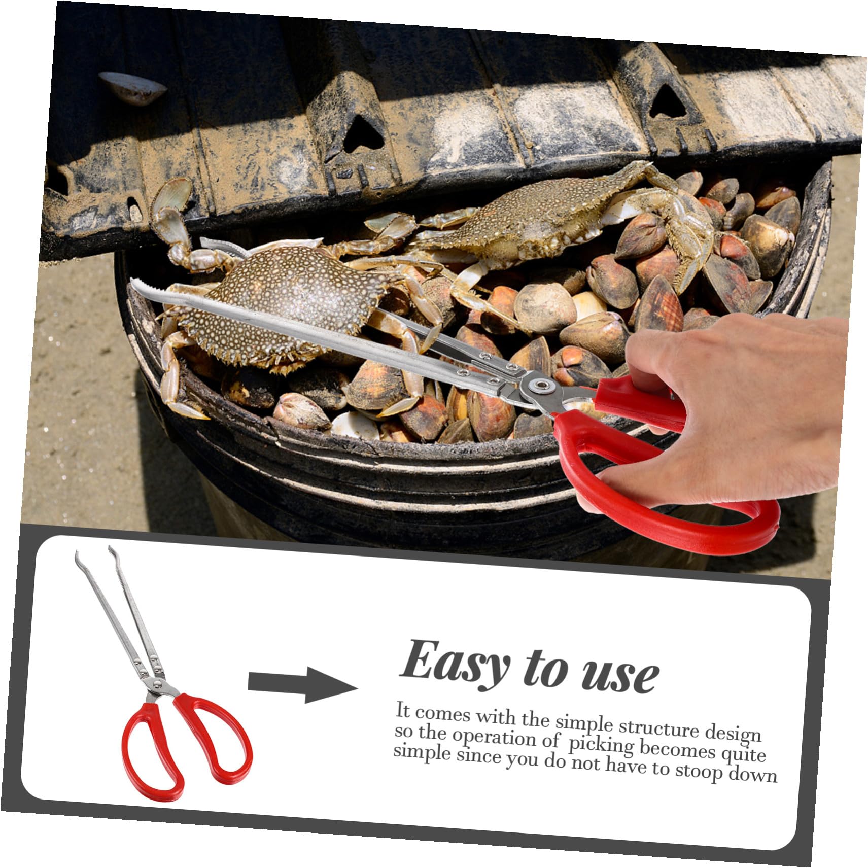 Longues Pinces à Crabe Portables en Acier Inoxydable et Abs Antidérapantes
