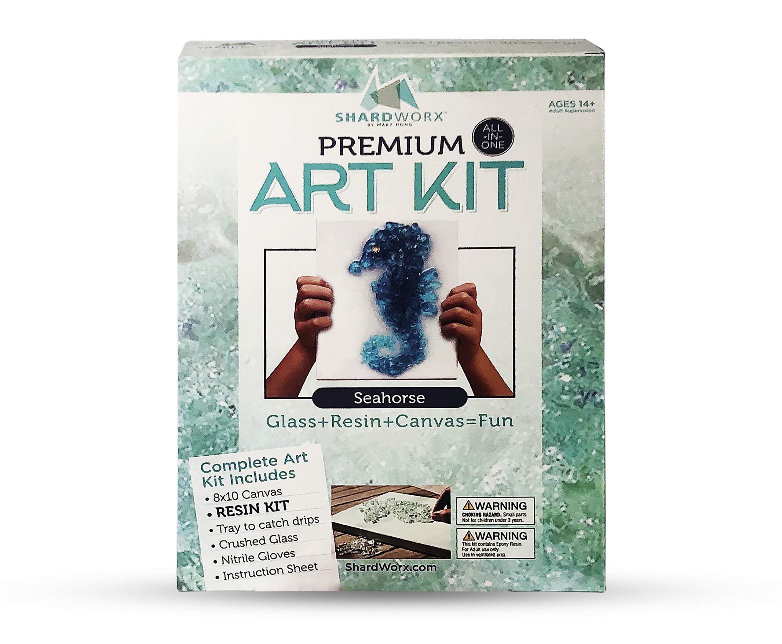 Buy ShardWorx Art Kits by Mary Hong Mixed Media Glass Art Seahorse Premium Kit Online at