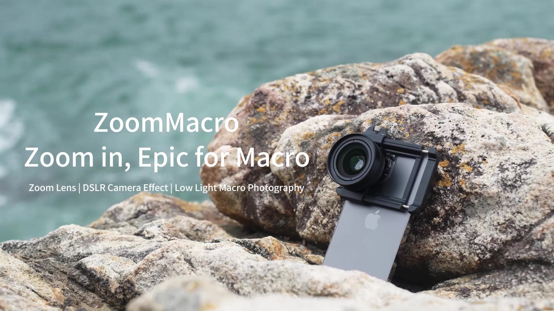 Dslr Macro Shot Lens 127+ Thousand Macro Zoom Royalty-Free Images