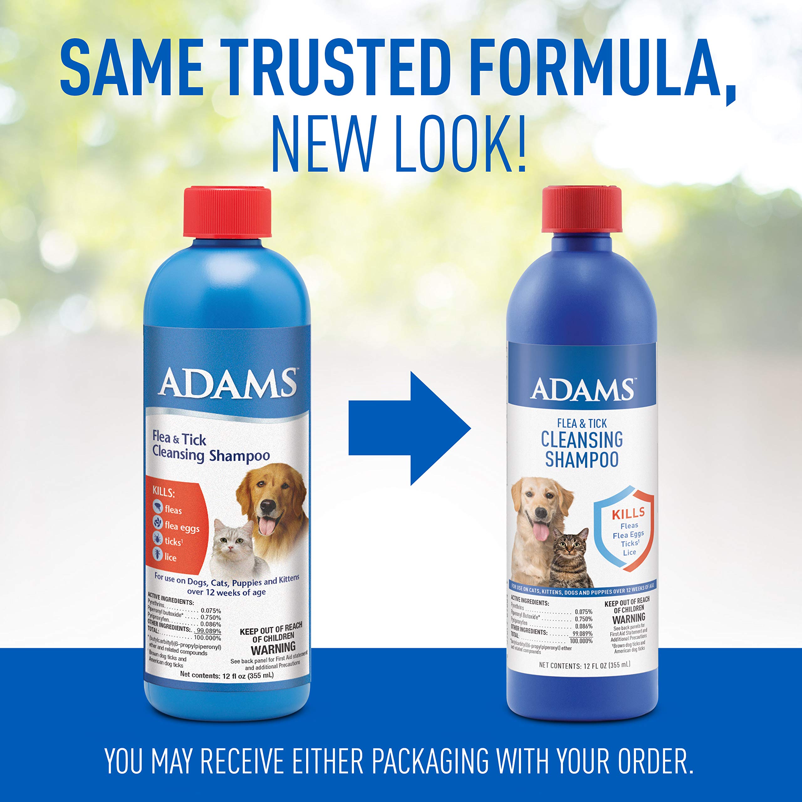 adams flea and tick cleansing shampoo