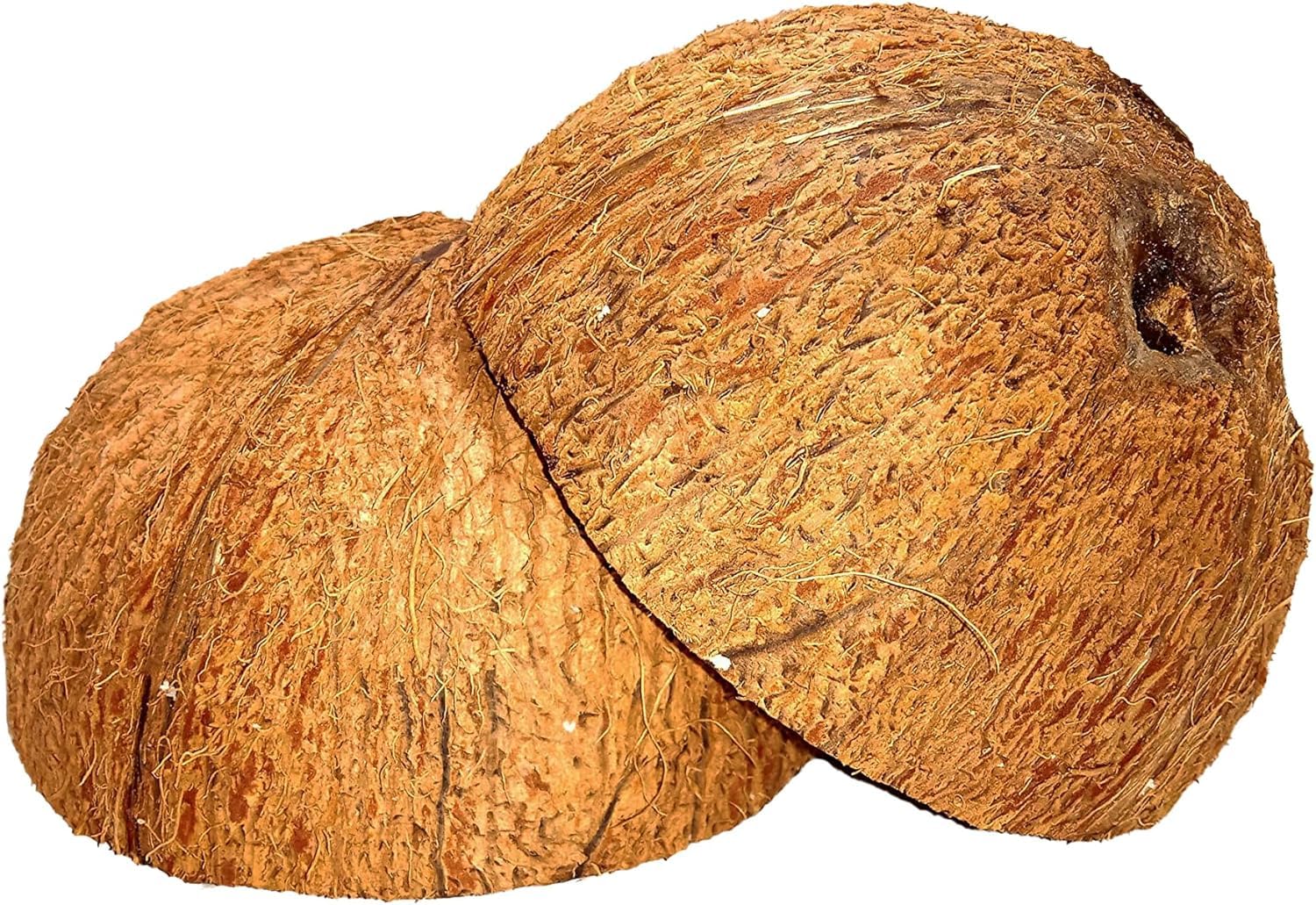 2 pezzi di noce di cocco a metà/Eco-Friendly Ceylon 100% naturale noce di cocco biologico metà per guscio di cocco artigianale fatto a mano / 2 pezzi HALVES
