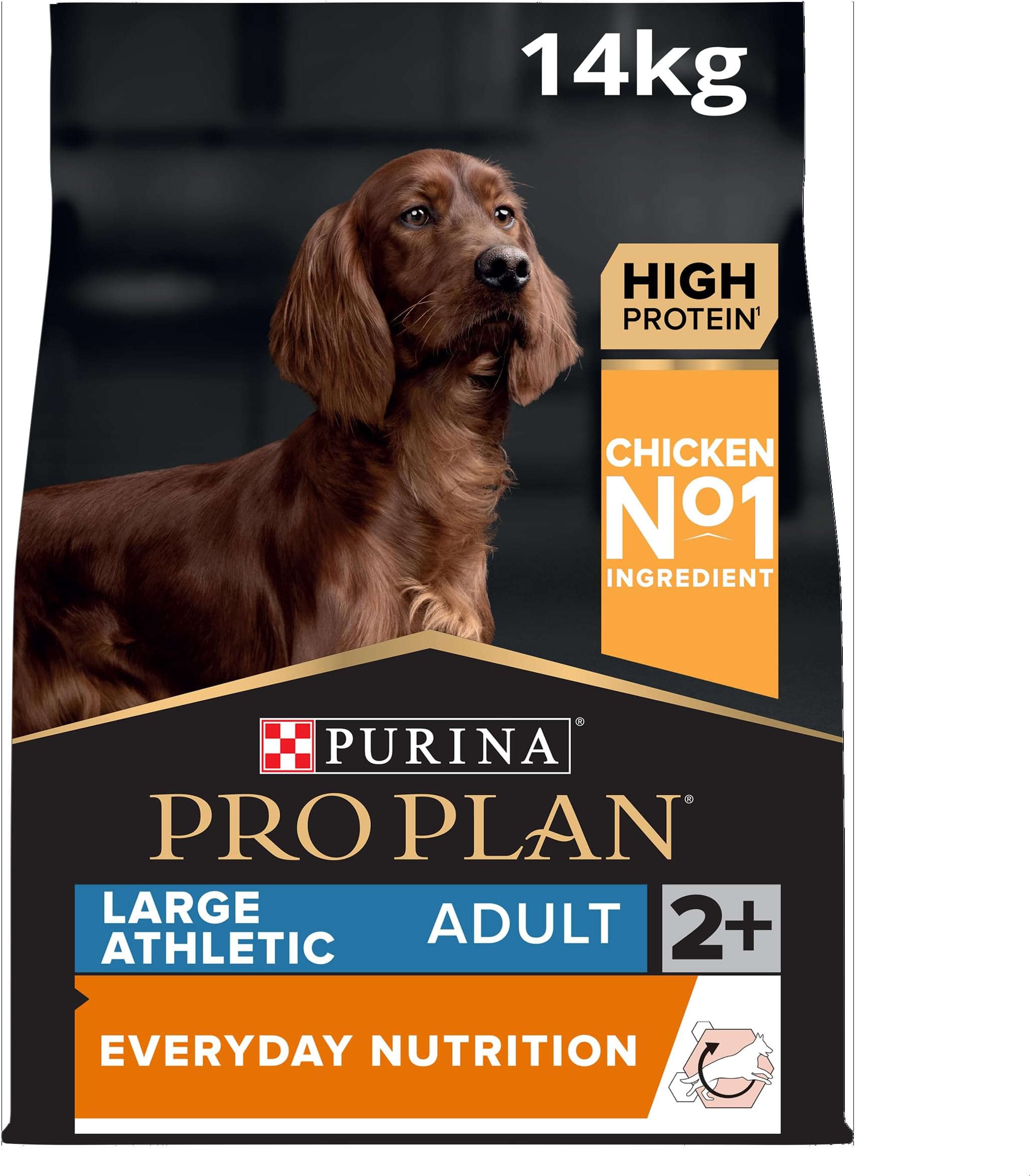 Everyday Nutrition Large Athletic Adult, Dry Dog food with Chicken, 14 kg