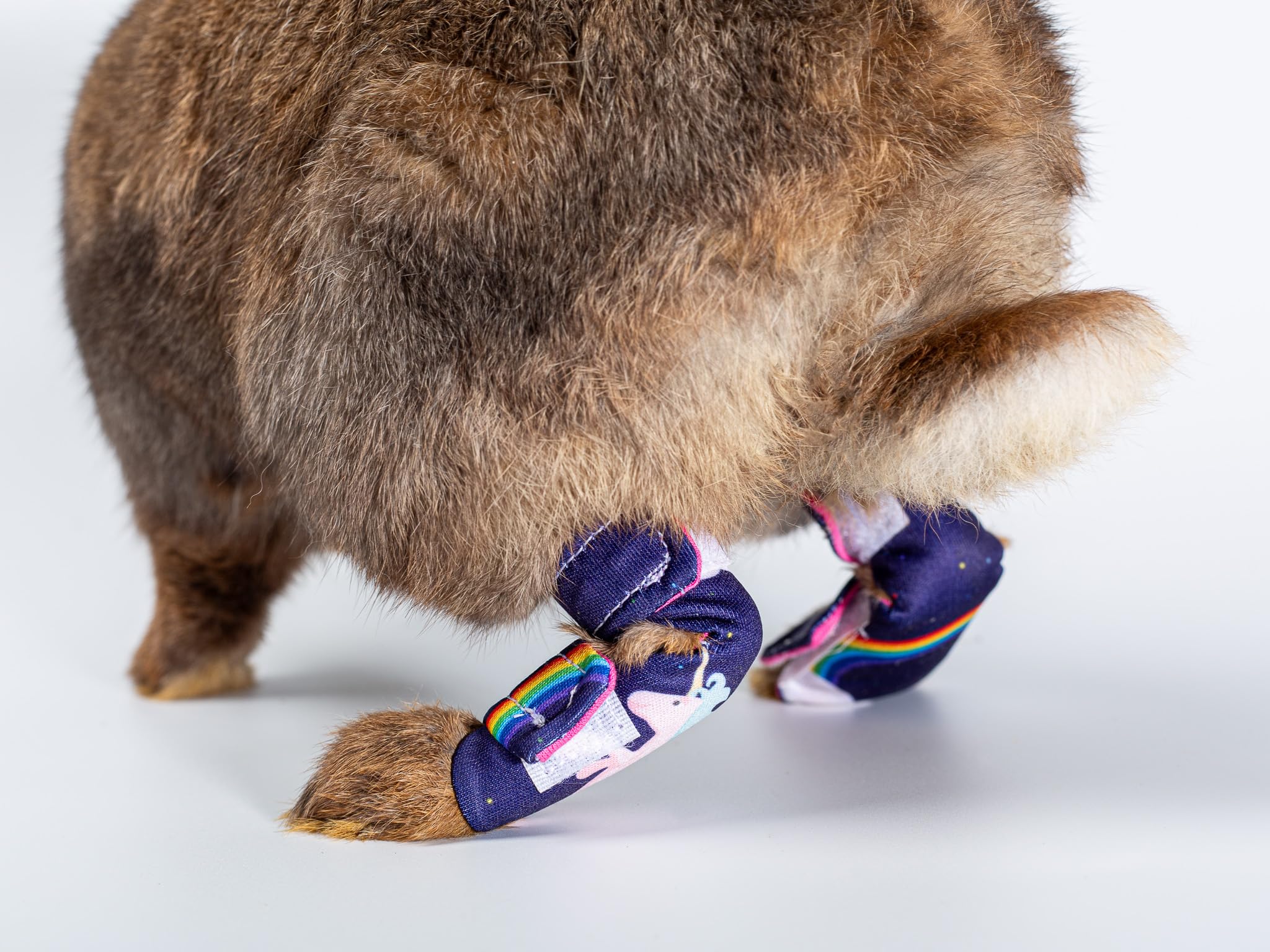 Chaussettes de protection pour lapins pododermatite abrasions