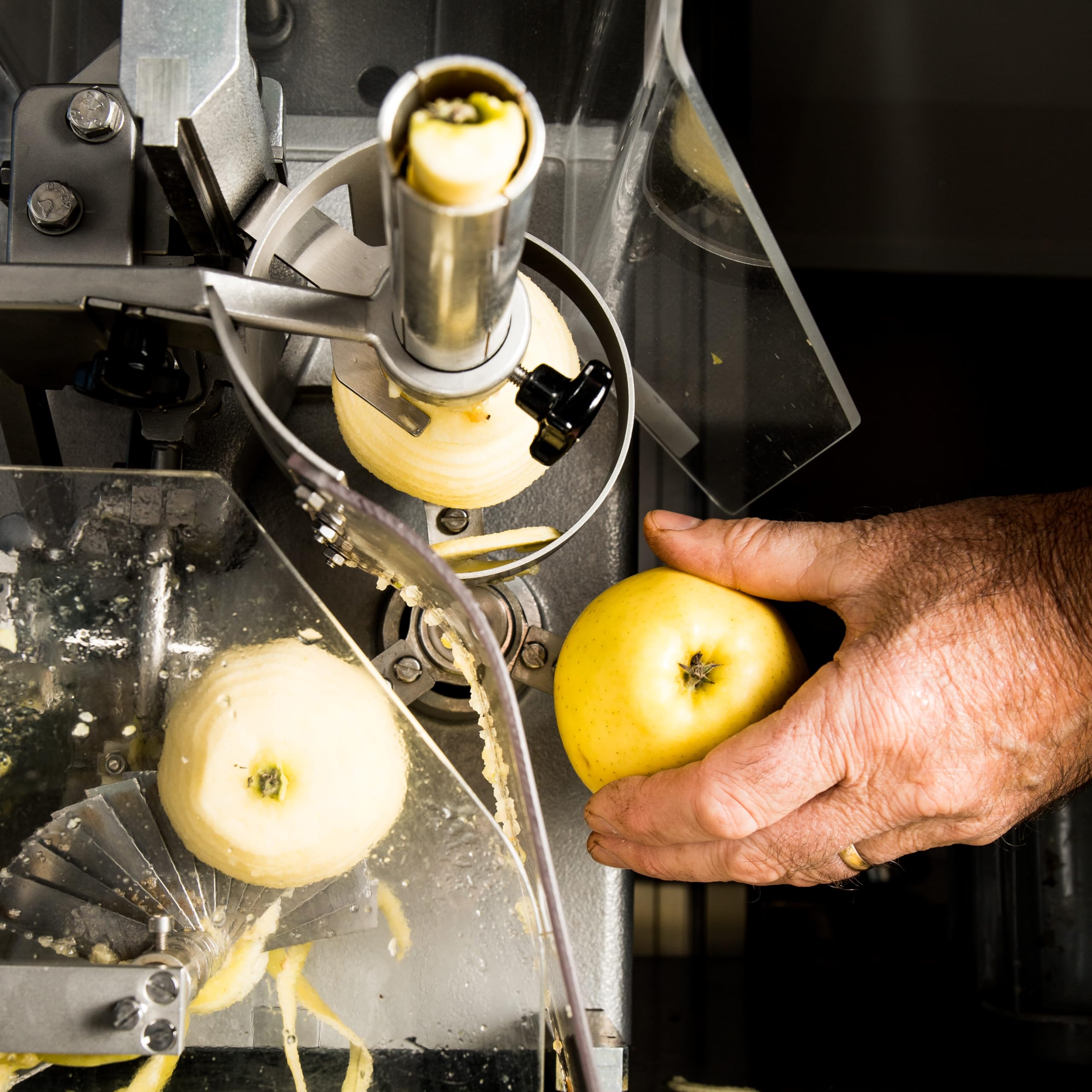 Mele essiccate (10 confezioni) – snack dolce naturale – anelli di mela del Trentino – senza zuccheri aggiunti – Made in Italy – Gustonatura