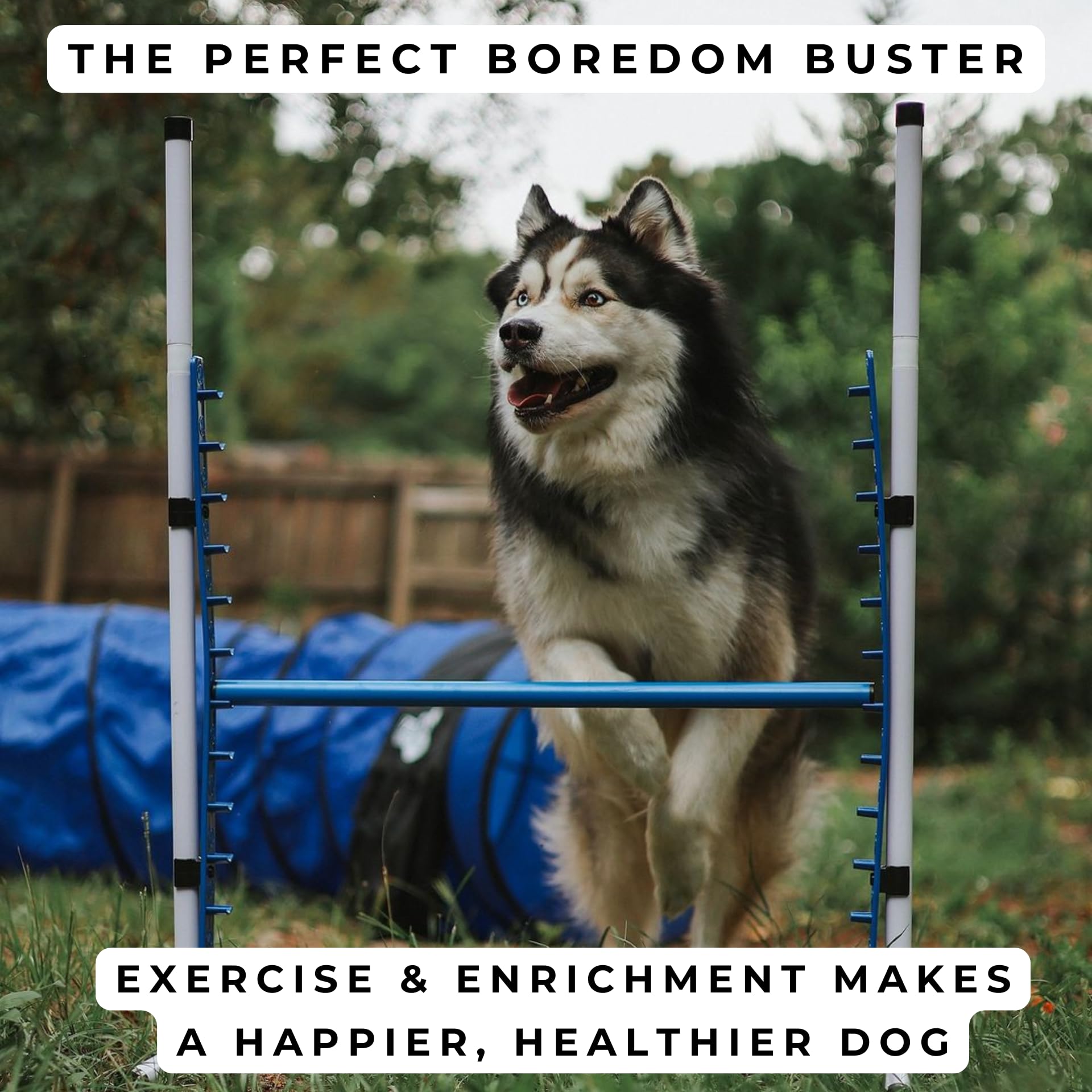 Better Sporting Dogs 4 Pack Adjustable Dog Agility Jumps w/Safety-Focused Features | 2 Bar Jumps with Cup Strips | 2 Breakaway Tire Jumps - image 7