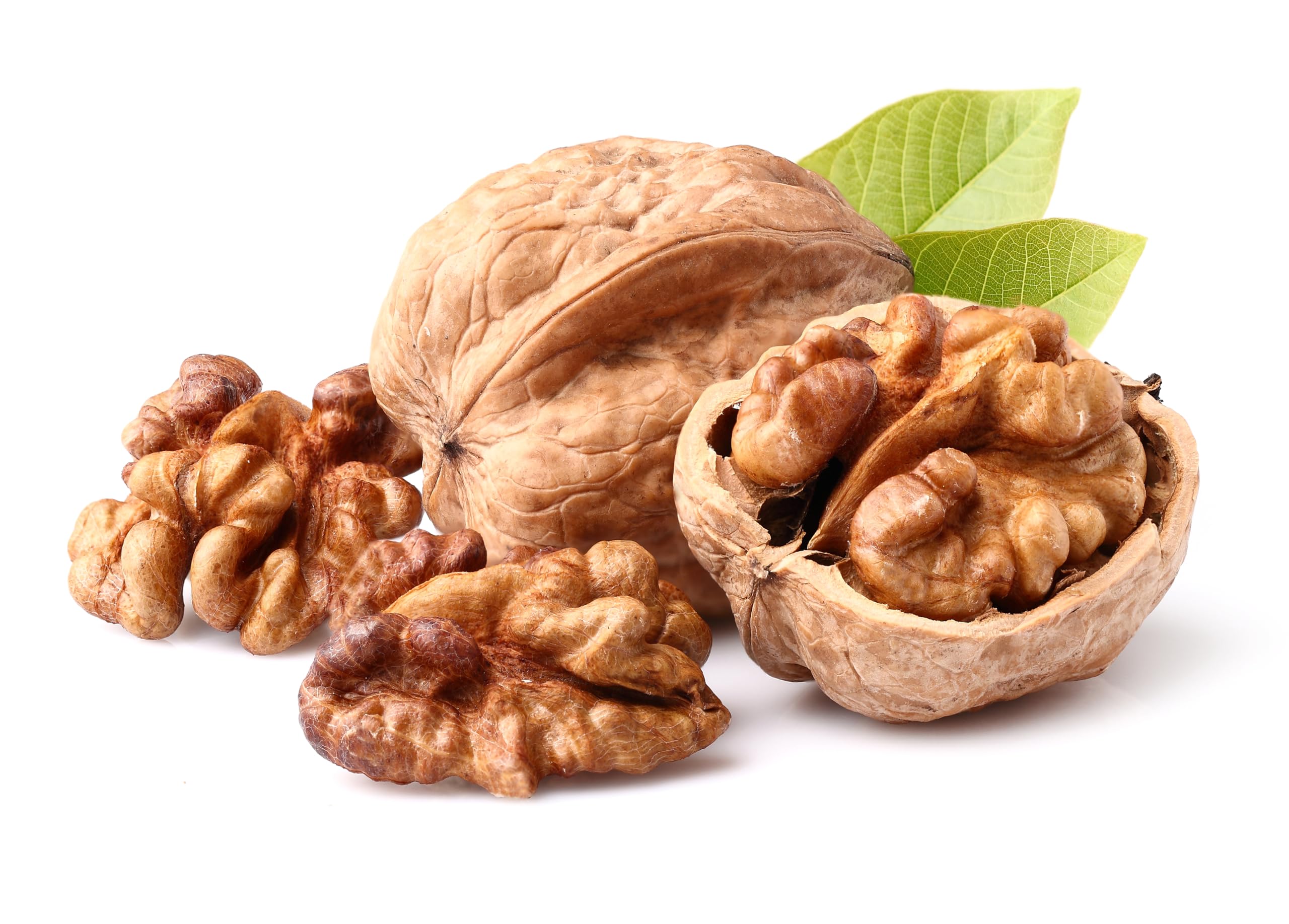 Harina de nueces, 500 g, fibra alimenticia de Hortus Verdi, sin gluten, harina de nueces, 100% natural, vegana, rica en proteínas