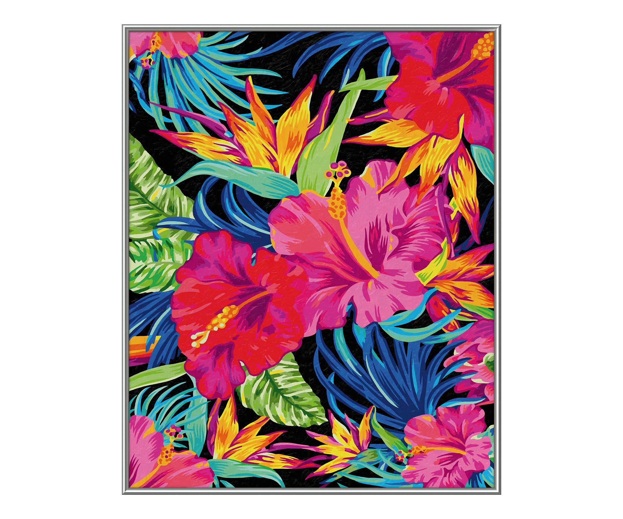 Schipper 609130851 Dipingere con i Numeri, spazi di Fiori esotici - Dipingere Immagini per Adulti, Inclusi pennelli e Colori acrilici, 40 x 50 cm