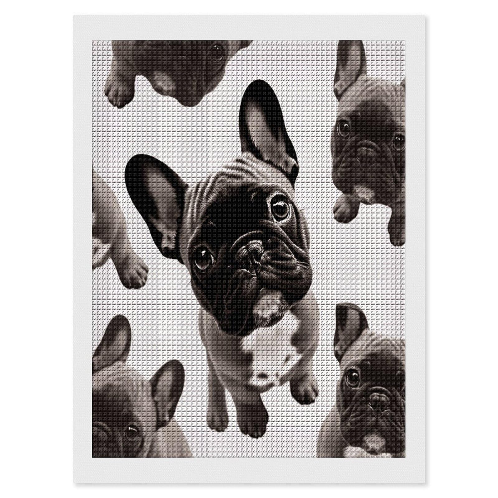FodPand French Bulldog Diamond Painting Kit for Beginner Fun 5D DIY Crafts for Adults Diamond Art Kits Square Diamond Art Canvas Painting Gem Art Crafts for Home Wall Decor 12"x16"