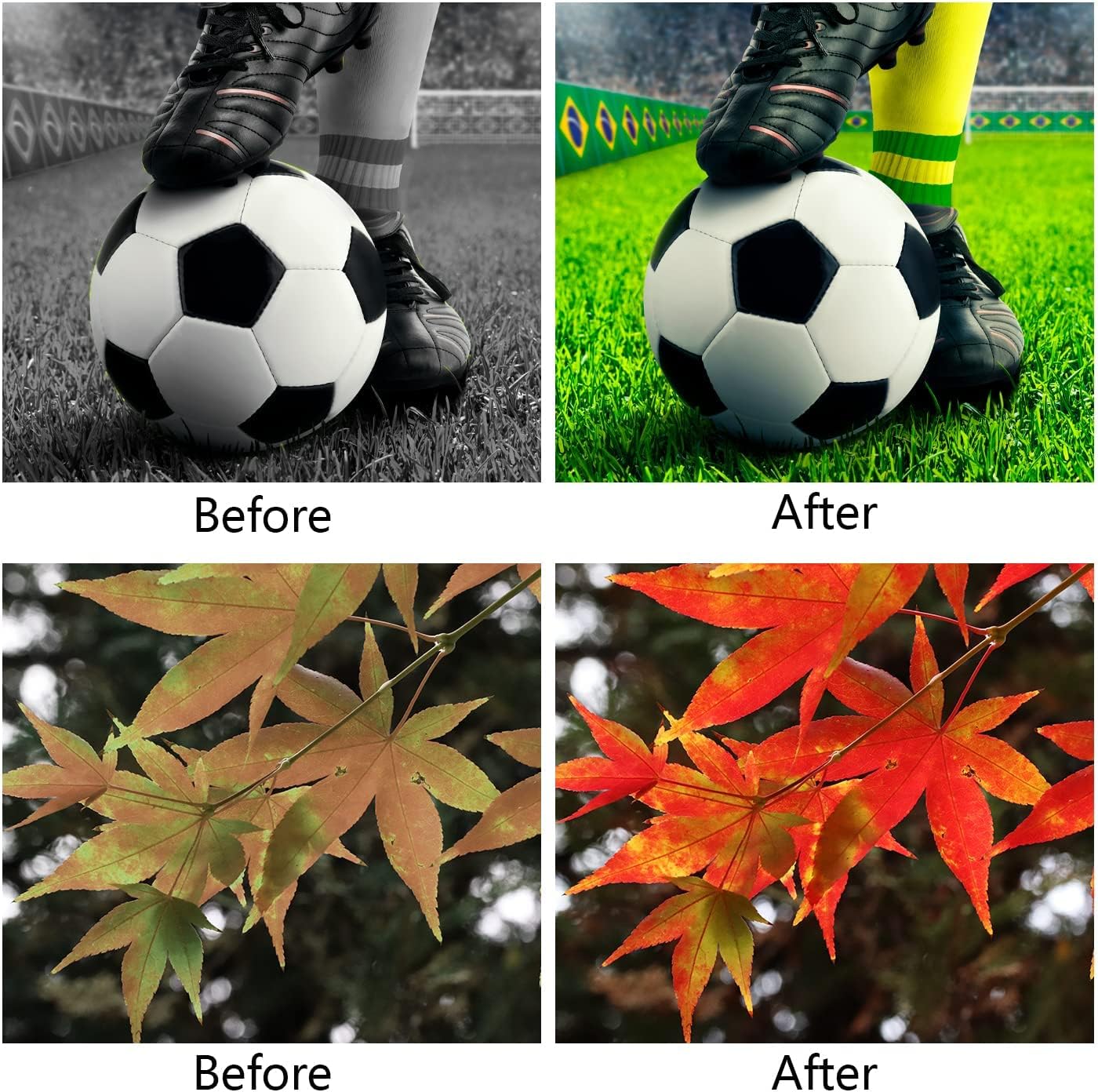 Buy Color Blindness Correction Glasses for Men for Red Green