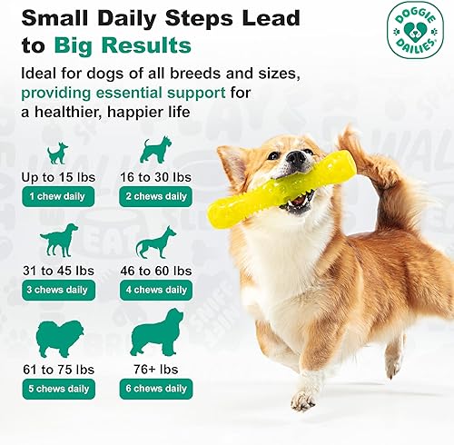 Miniatura 3 de Doggie Dailies Glucosamina para perros suplemento avanzado de cadera y articulaciones para perros con glucosamina condroitina MSM ácido hialurónico