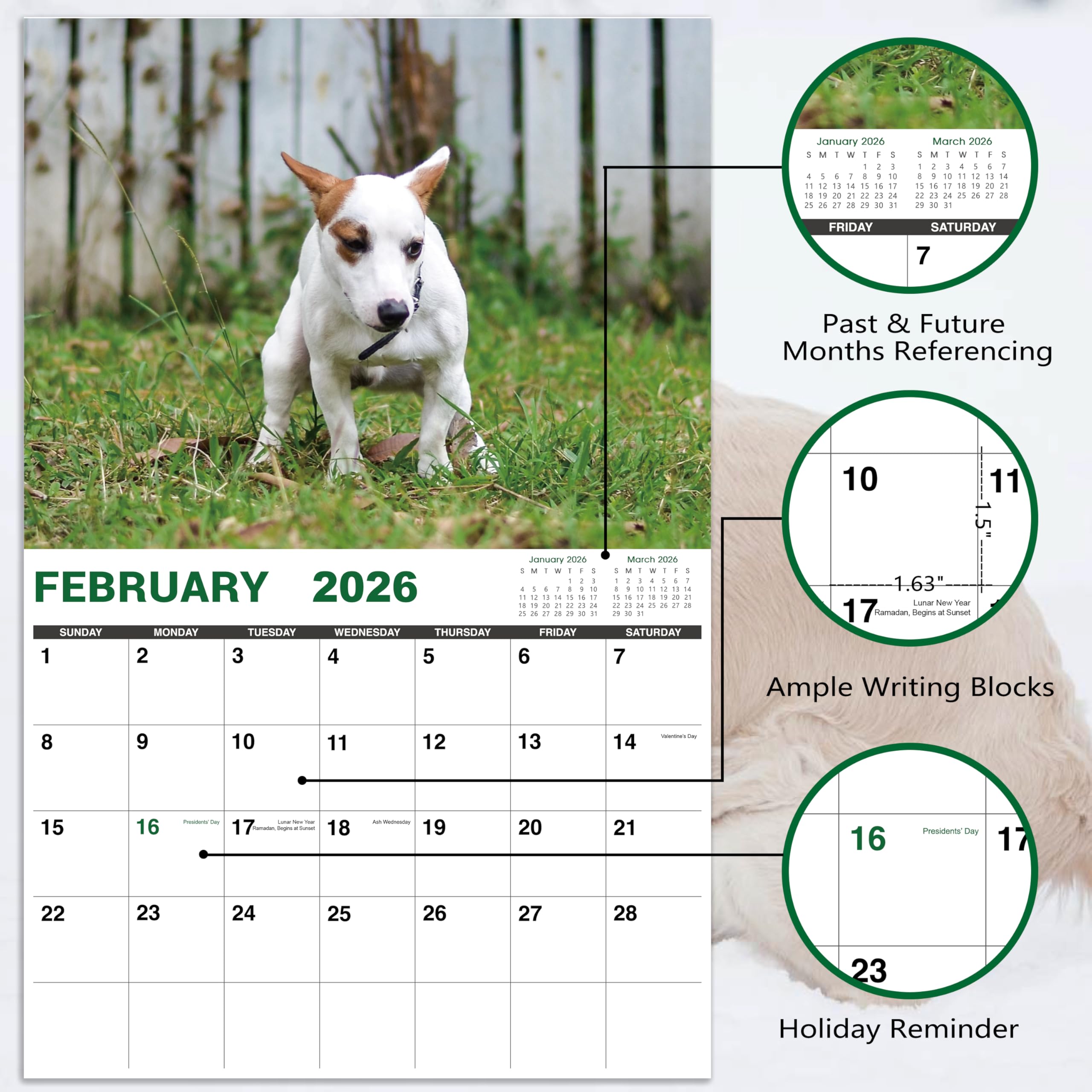 Snapklik Com 2026 Calendar Gag Gifts Wall Calendar 2026 Pooping 81q3U8tPqoL 