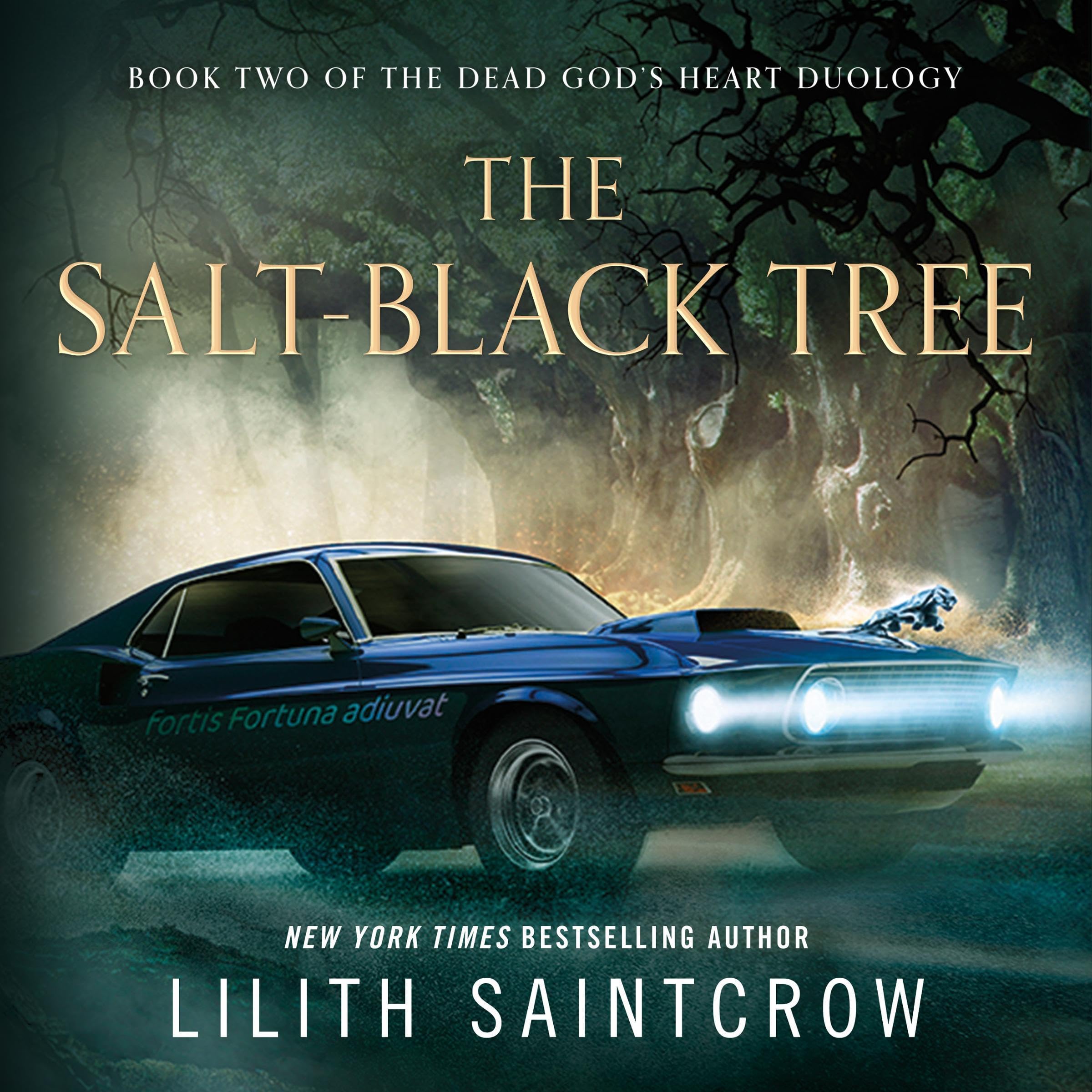 Cover art for The Salt-Black Tree