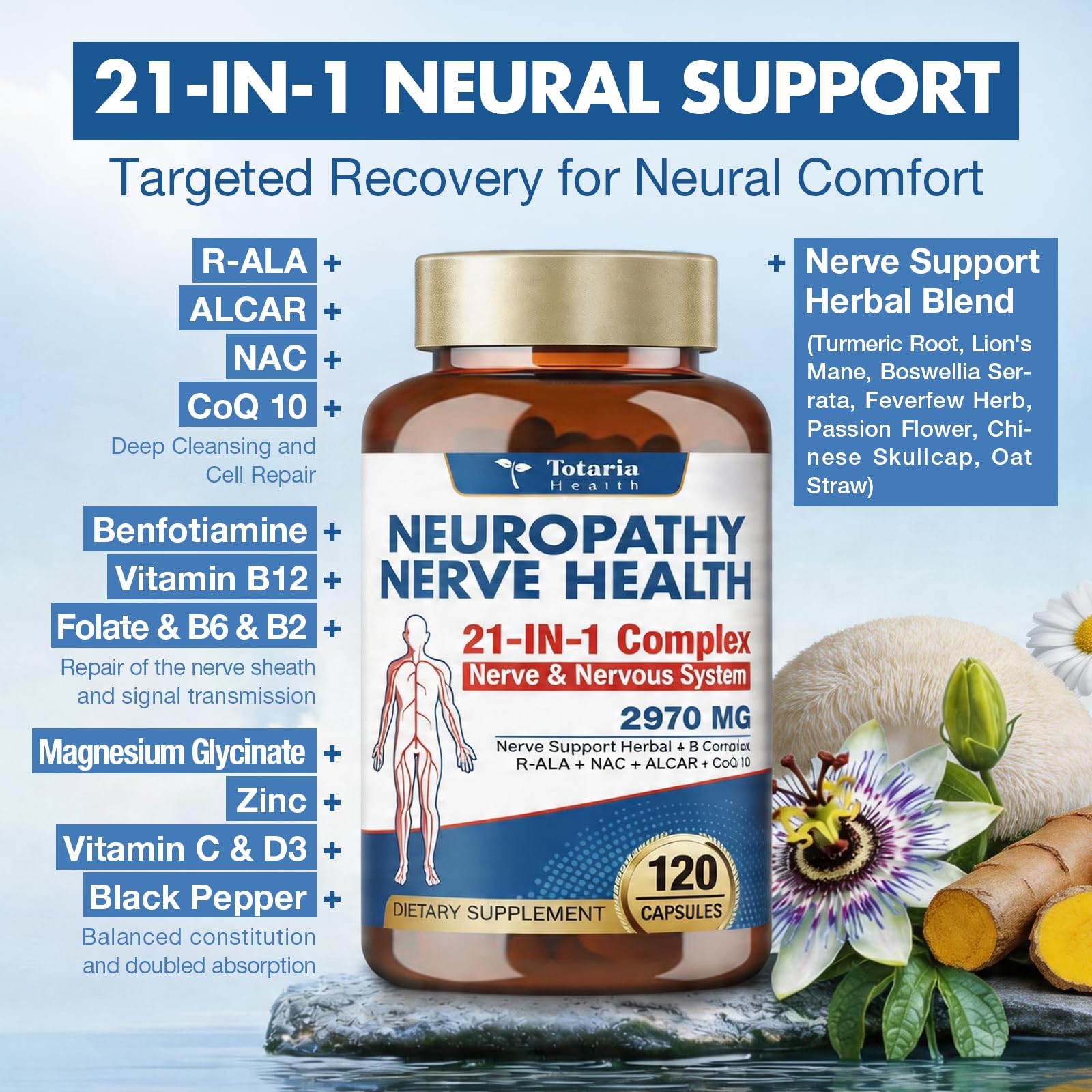 Totaria Alpha Lipoic Acid Neuropathy Supplement - Nerve Health, R Alpha Lipoic Acid 600mg, ALA Supplement Healthy Nerve Function Metabolism and Cell Energy, Non-GMO, Gluten Free, Vegan Safe — Amazon image 4