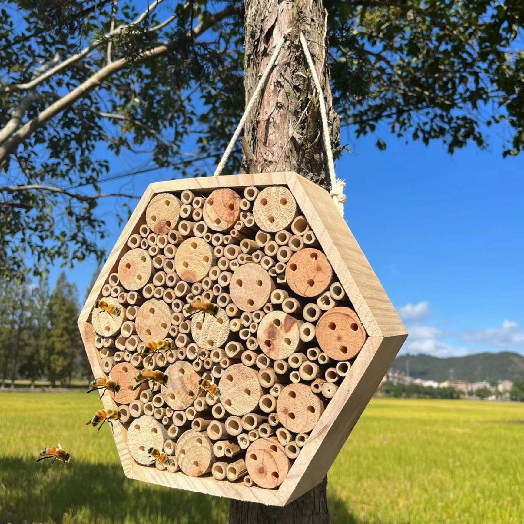 Hotel per insetti esagonale in legno casetta per da giardino hotel naturale con corda per appenderla casetta per muratrici da esterno per attirare gli impollinatori decorazione per il giardino