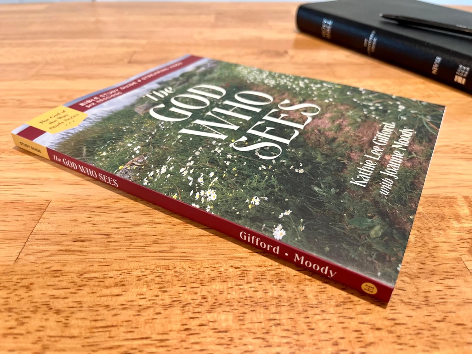 The God Who Sees Bible Study Guide plus Streaming Video (God of The Way) - Image 5