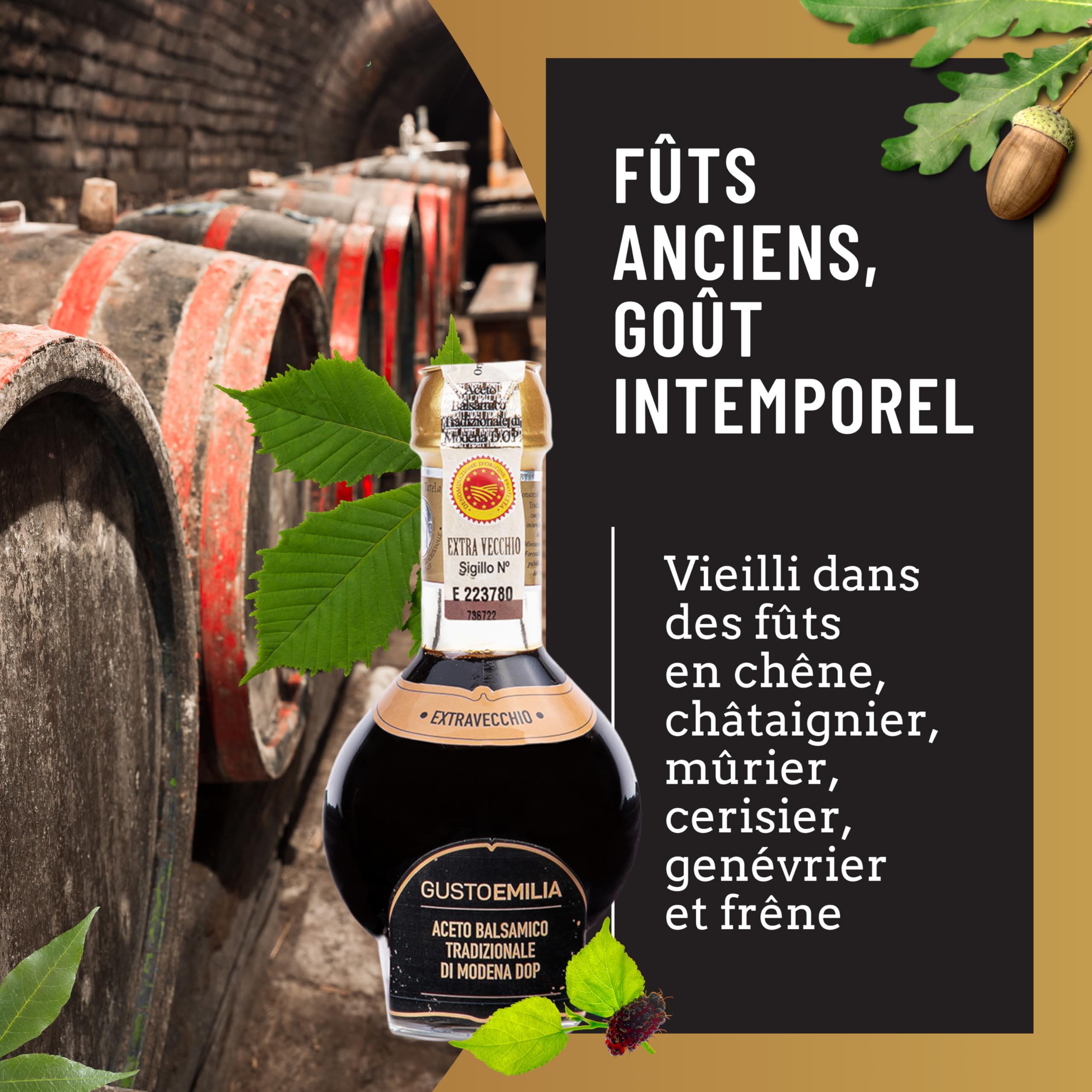 GUSTOEMILIA Vinaigre Balsamique Extra Vieilli 25 Ans de Modène IGP Italien - Accord Parfait avec le Parmigiano Reggiano Vieilli - Fabriqué en Italie 3,38 Fl Oz (100 ml)