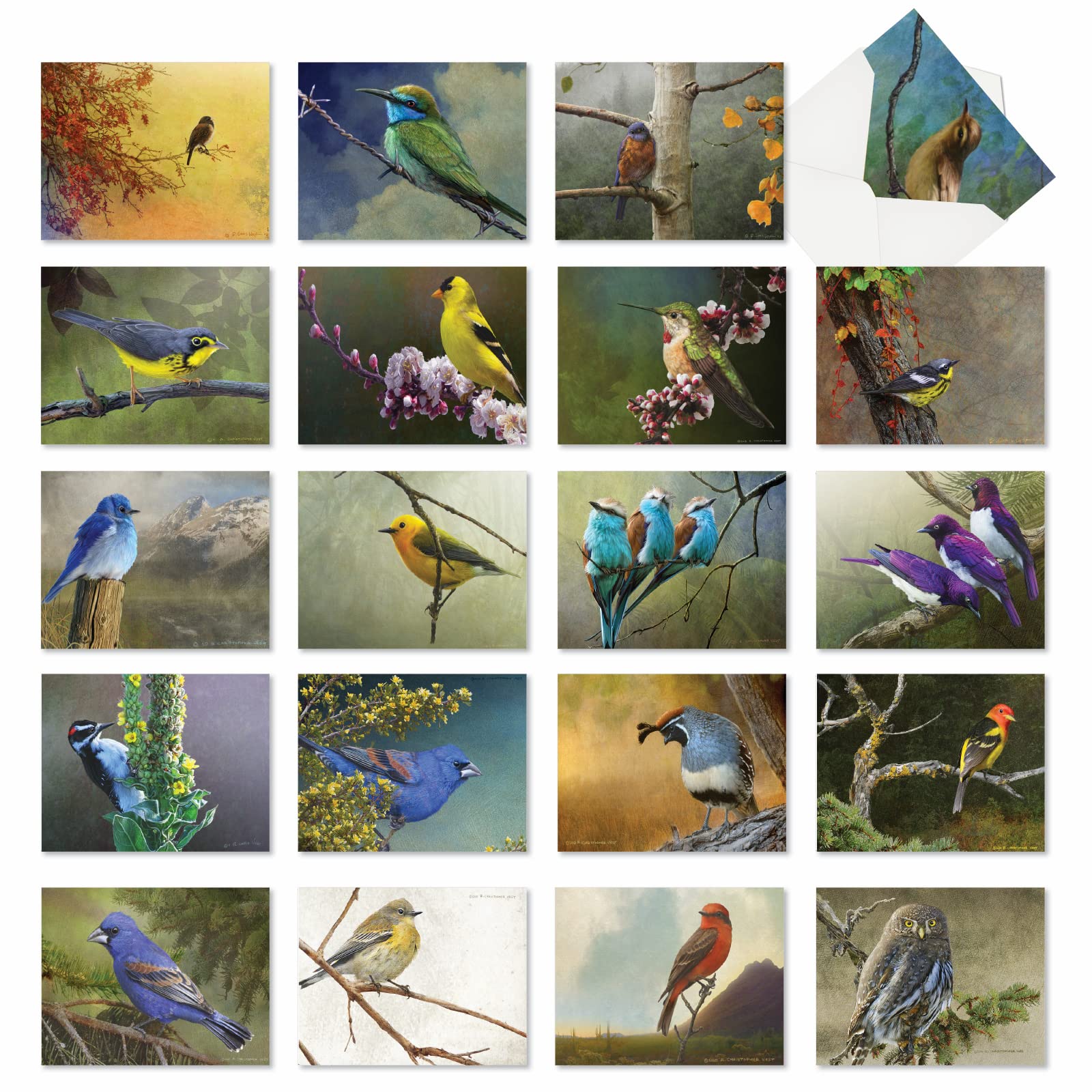The Best Card Company - 20 Assorted Boxed Thank You Note Cards with Envelopes (4 x 5.12 Inch) - Birds and Branches AM2822TYG-B1x20