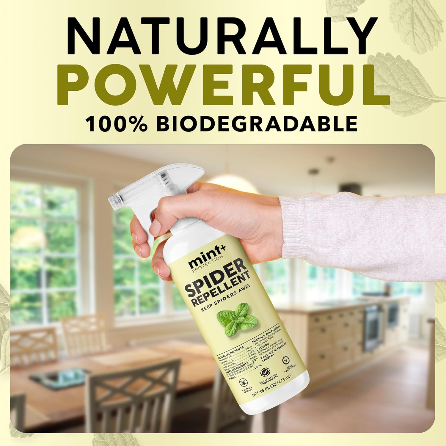 Mint+ Spider Repellent Spray, Spider Spray for Indoor & Outdoor Use, 16 oz (475mL) - Image 3