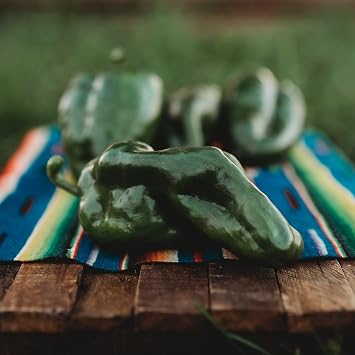 Poblano Ancho Gigantea Chili Pepper Mildly Hot - 10 Seeds - Heirloom Mexican Chile Variety, Non-GMO Vegetable Seeds for Planting in The Home Garden, Thresh Seed Company
