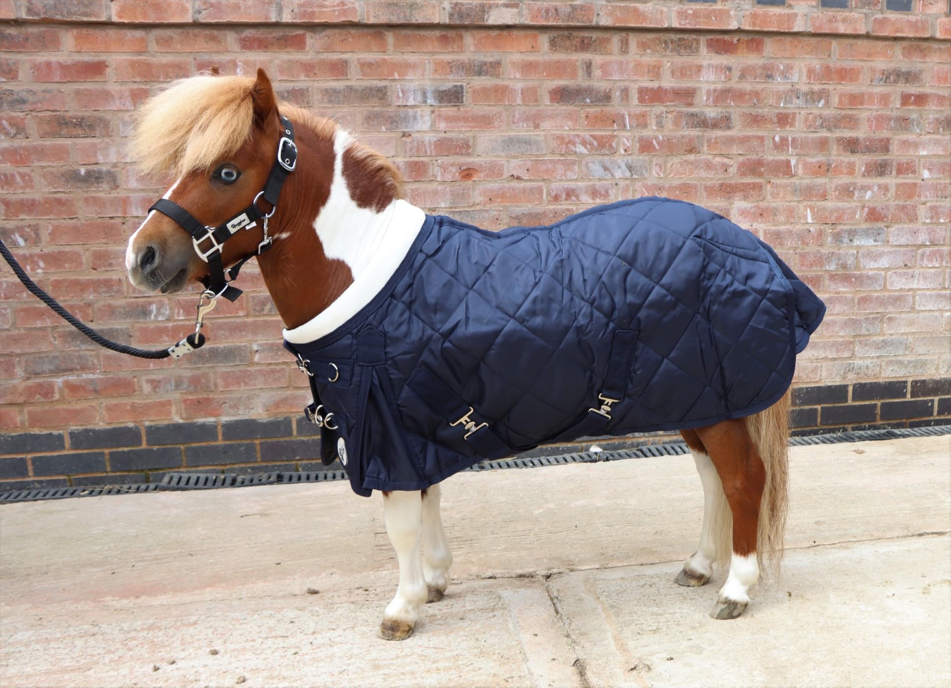 Ruggles 200g Middleweight Stable Rug for Shetland Section A Donkey Foal Miniature Horse | Soft Nylon Lining | Smart Versatile Rug for Cooler Days (Navy, 4' 3")