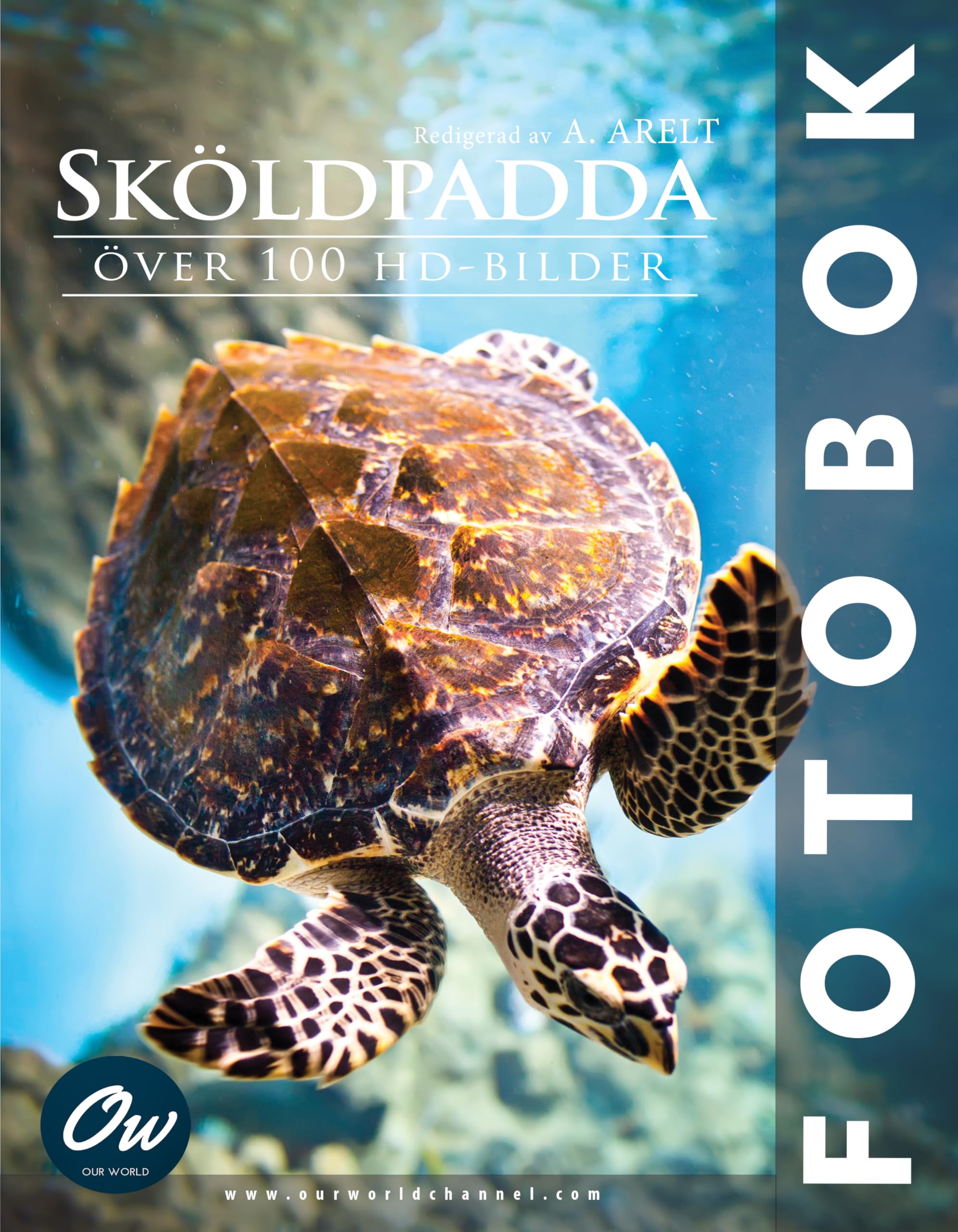 Sköldpadda fotobok pour sublimer la déco de votre salon