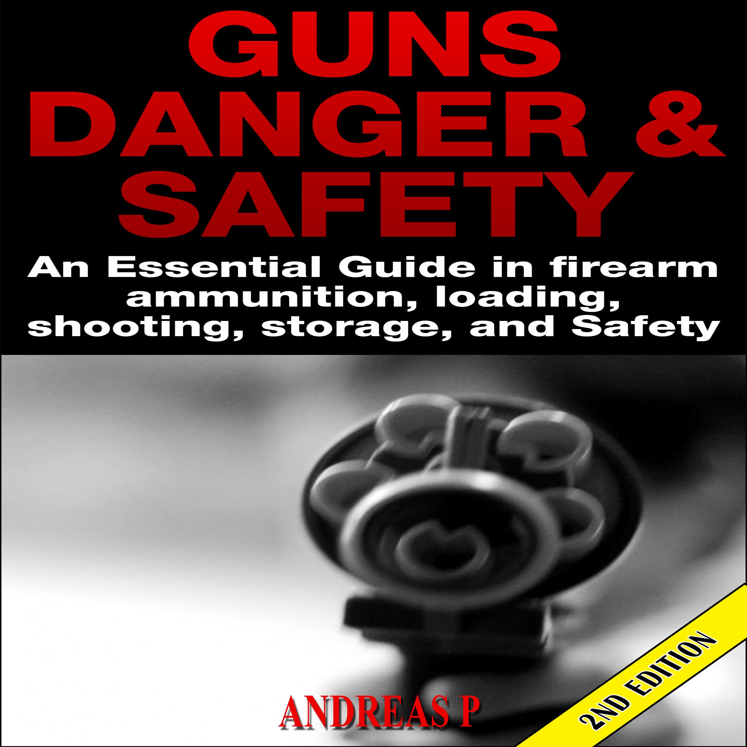Cover art for Guns Danger & Safety 2nd Edition