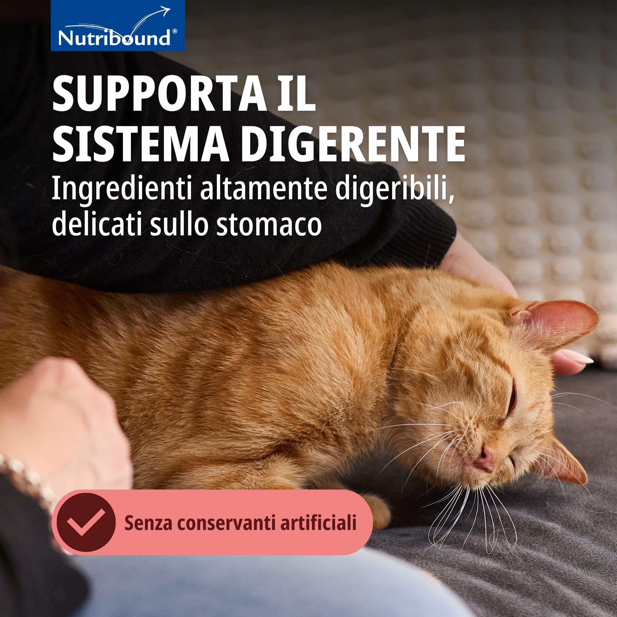 nutrib ound Gatto