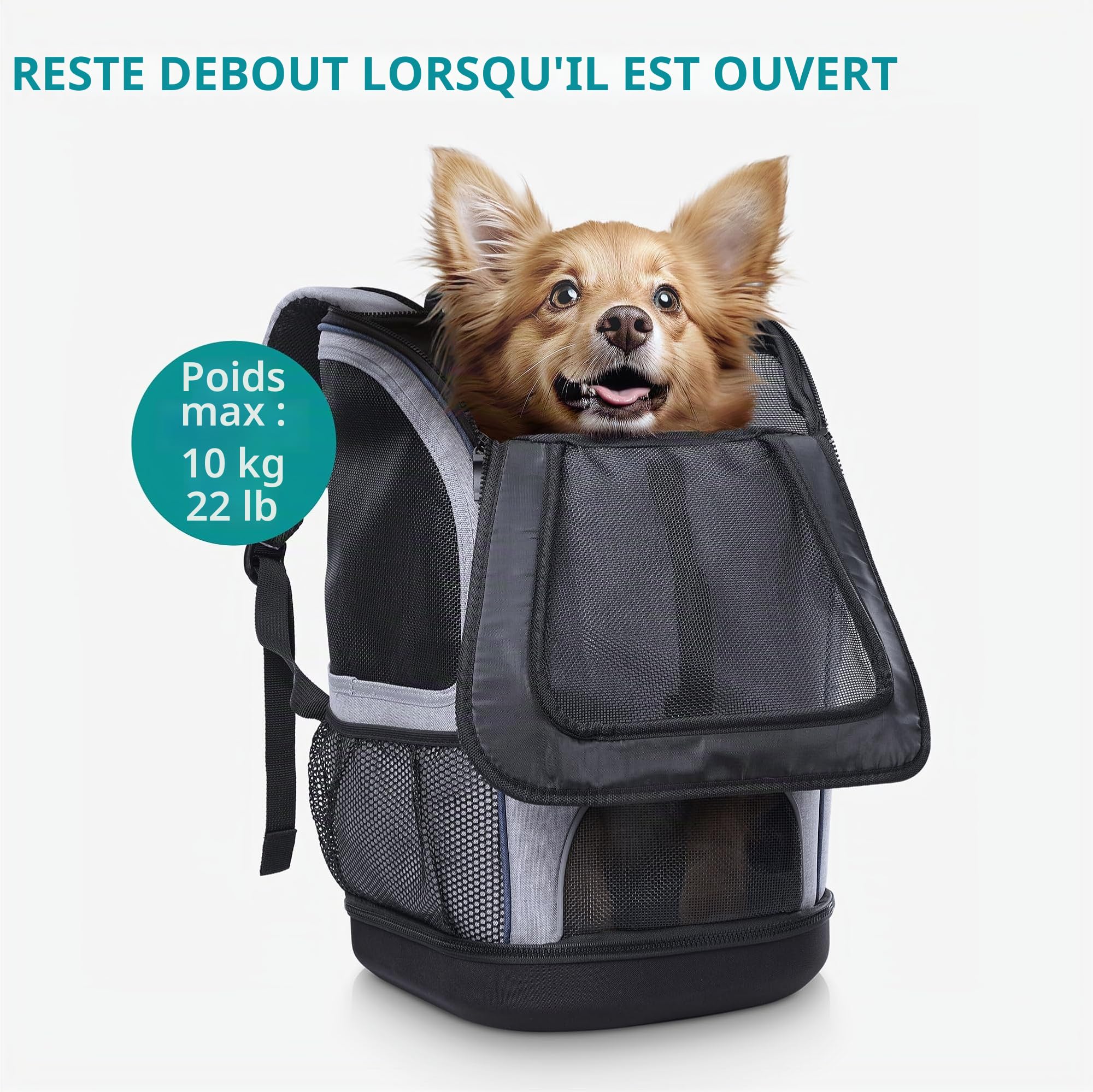 Navaris Sac de Transport Chat - Sac à Dos et Sac à Main de Transport Animal Chaton Chiot Chien jusqu'à 10 kg - Panier Voyage Voiture Avion
