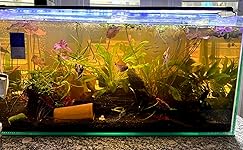 Review Image by Brooks Goettle