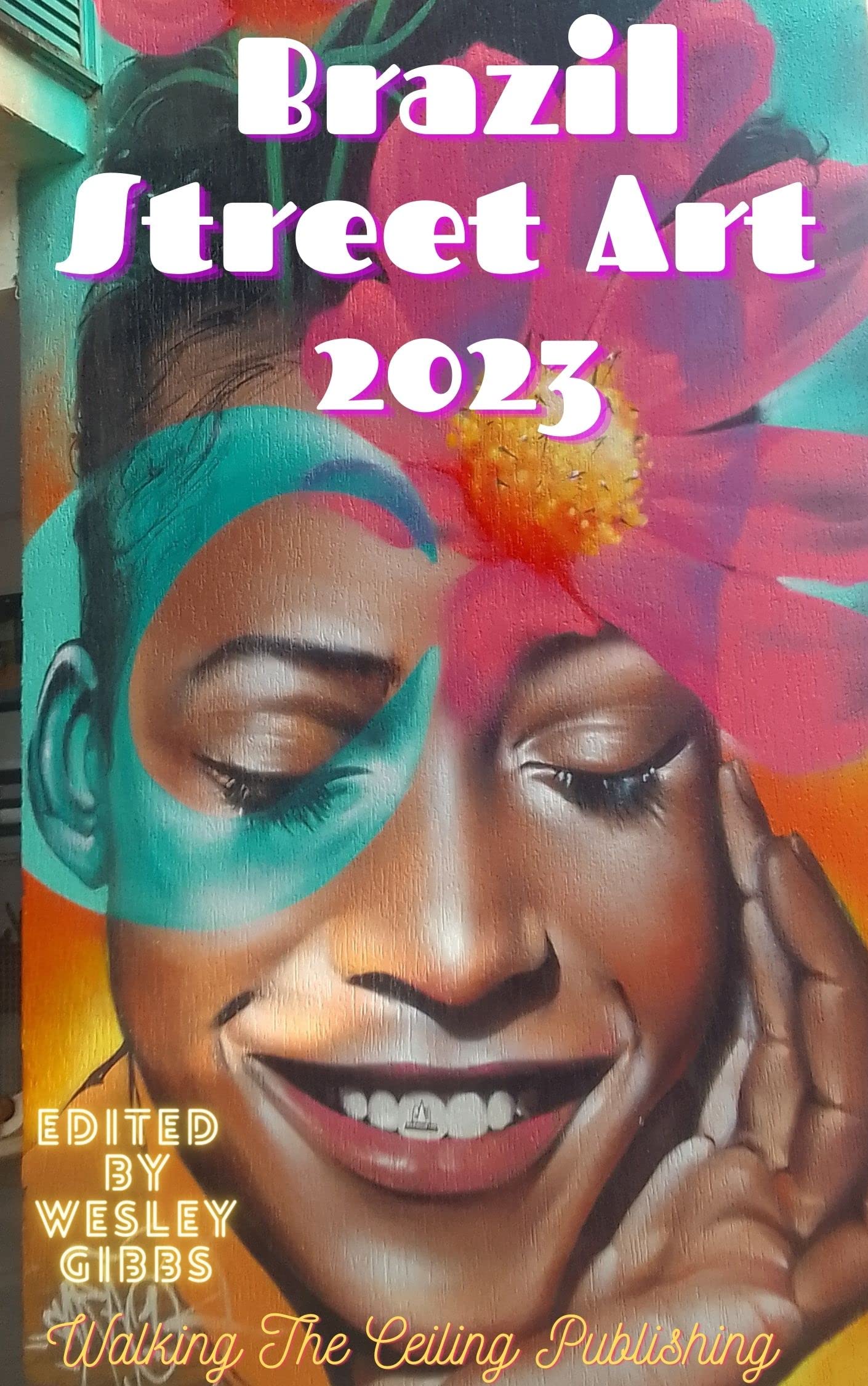 Art urbain brésilien : livre photo Street Art Brazil 2023 en anglais pour collectionneur