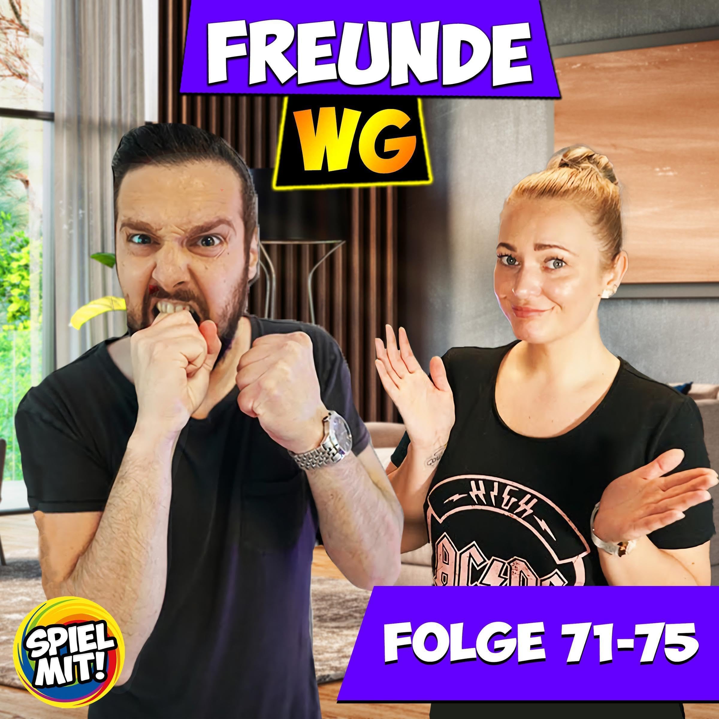 Cover art for Folge 71-75