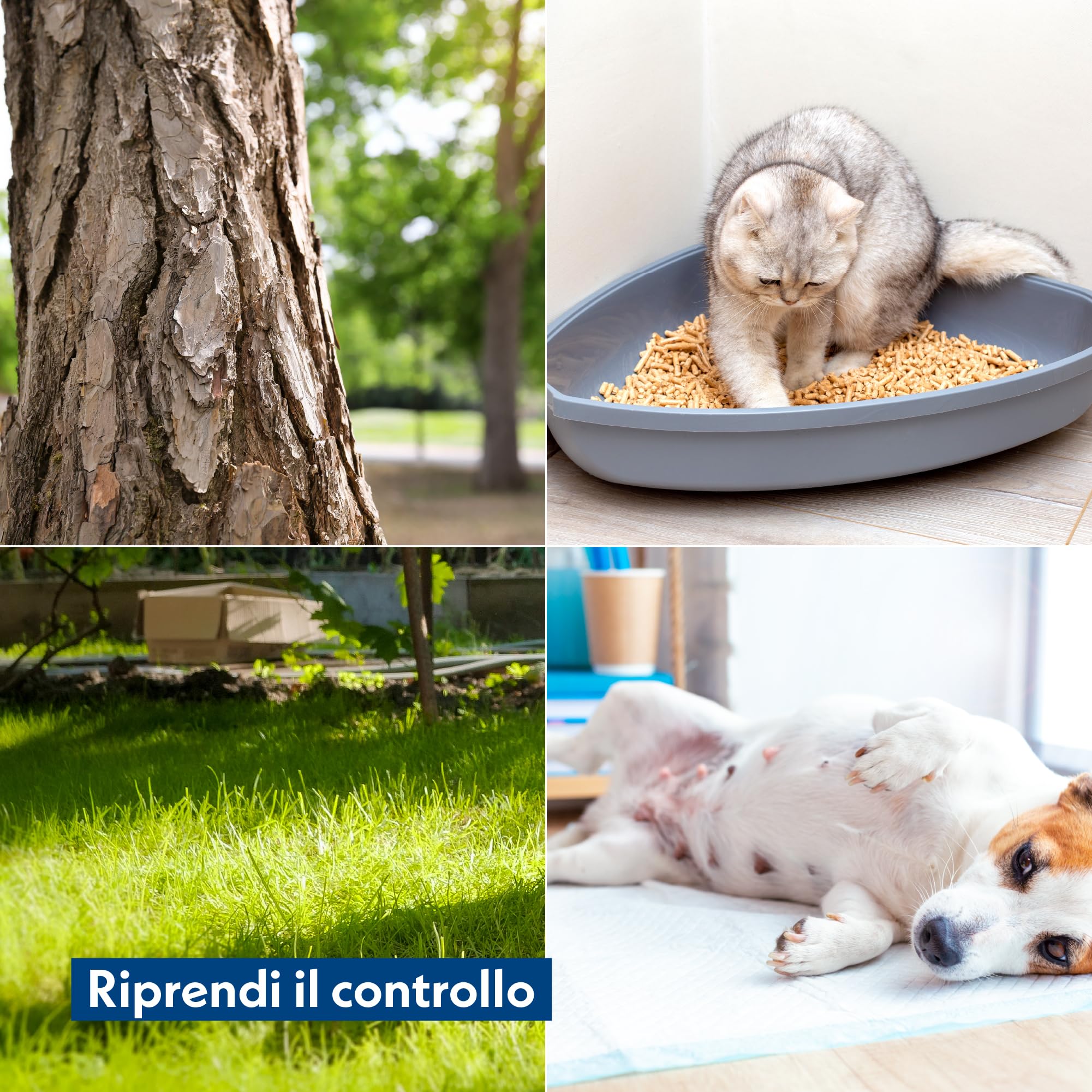 Amore Mio | Spray Attrattivo per Cani, Gatti e Cuccioli, Prodotto Educativo per Addestramento Lettiera, Traversina, Abituante, Spray Correttore per Animali Domestici - 500 ml