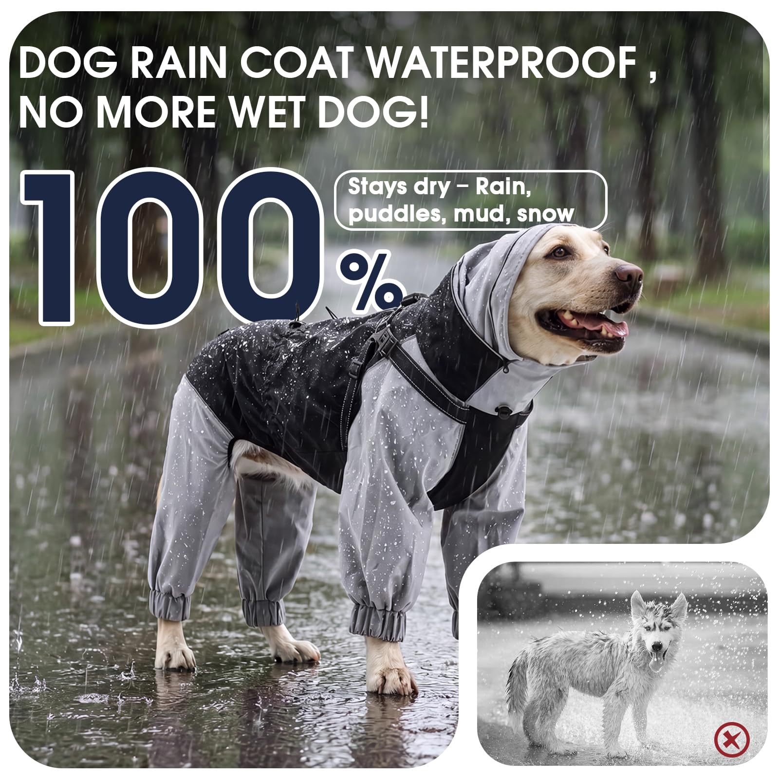 IECOii Hundejacke wasserdicht kleine Hunde Full-Body 4-Leg mit versteckter Kapuze,Reißverschluss und Built-in Harness – Hundejacke Regen,wasserabweisend,leicht,atmungsaktiv,Outdoor,Spaziergänge