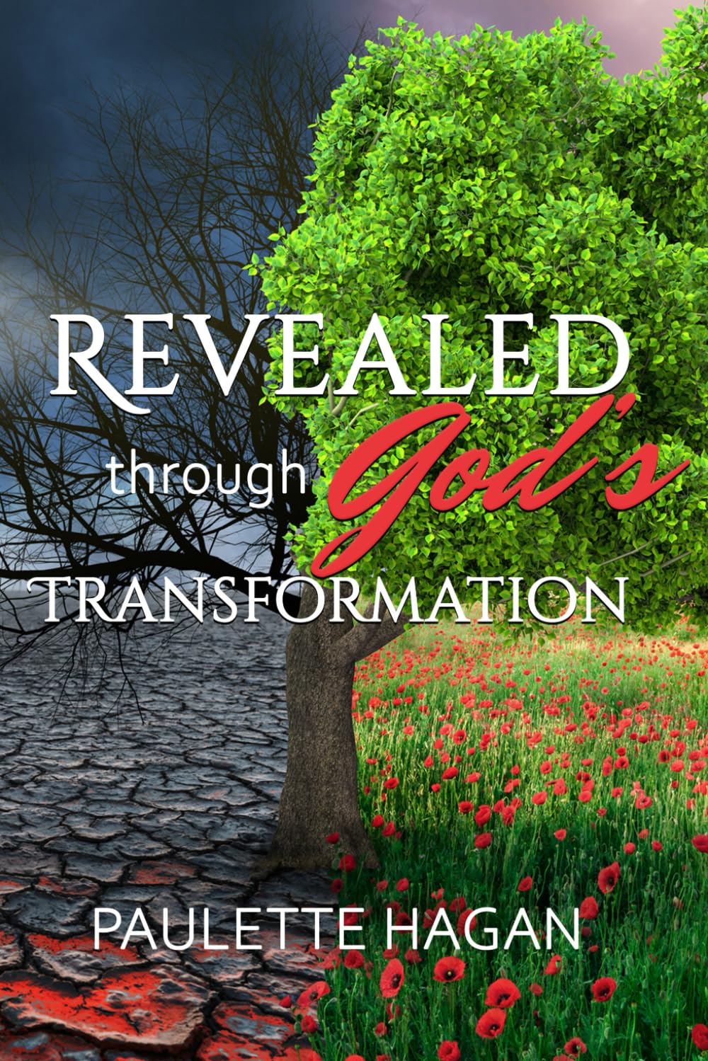 REVEALED THROUGH GOD’S TRANSFORMATION: From Brokenness to Breakthrough: A Journey of Healing, Faith, and Freedom