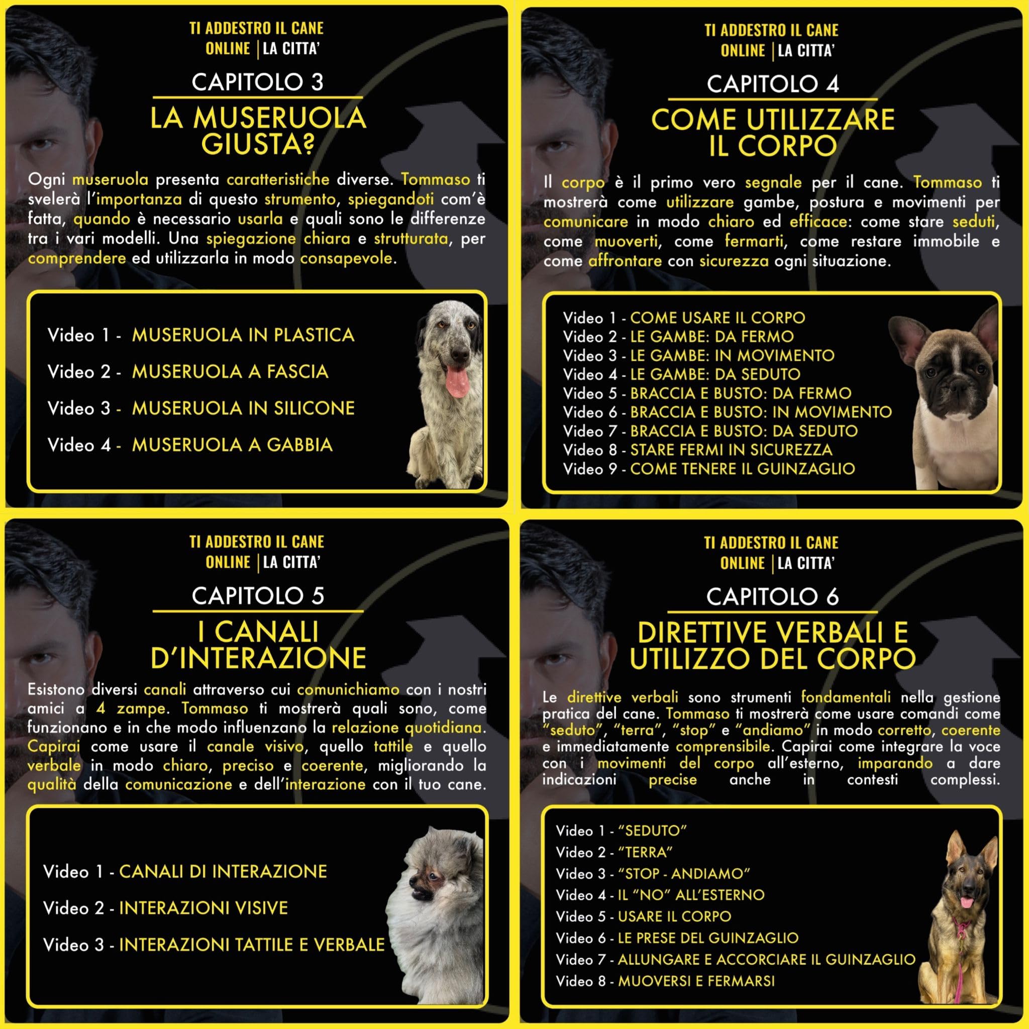 Videocorso : Ti addestro Il Cane Online - Tommaso Castellano