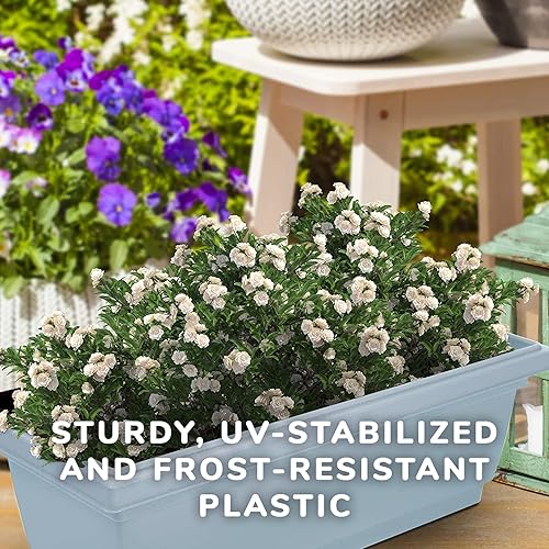 Miniatura 7 de Outland Living Maceteros rectangulares de plástico de 21.75 pulgadas, paquete de 4 macetas de ventana para hierbas, verduras, flores y plantas