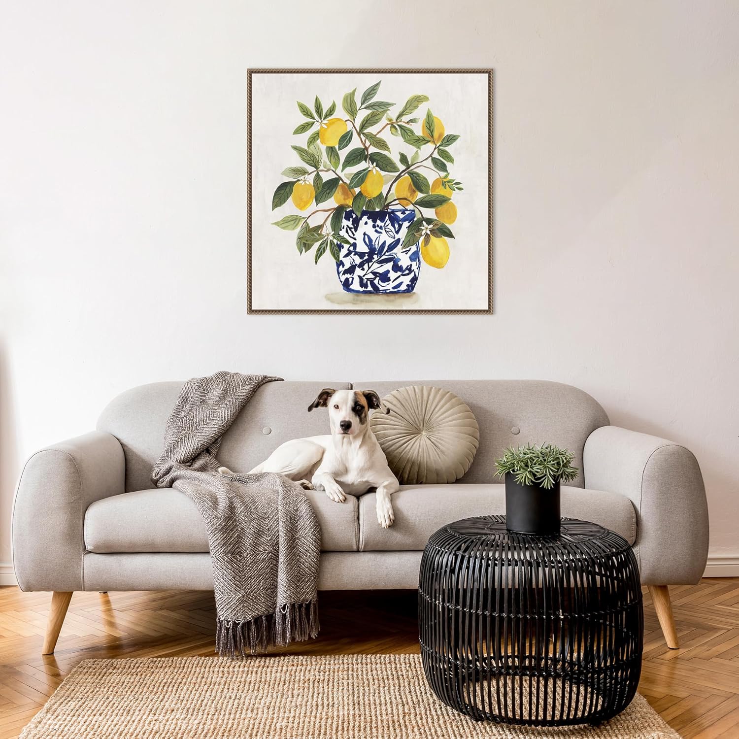 Amanti Art Framed Canvas Wall Art 30x30 Lemon Plant I by Asia Jensen, Framed Wall Art Canvas, Still Life Artwork, Traditional Decor, Large Poster Painting for Living Room, Bedroom, Bathroom, Kitchen,