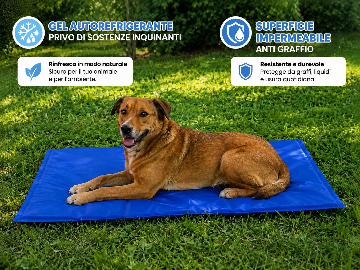 Tappetino Rinfrescante per Cani e Gatti in Gel 65x50 cm - Tappeto Refrigerante Autorefrigerante - Materassino Estivo Blu per Cuccia Divano e Auto - Pieghevole e Impermeabile - Antigraffio (65x50 cm)