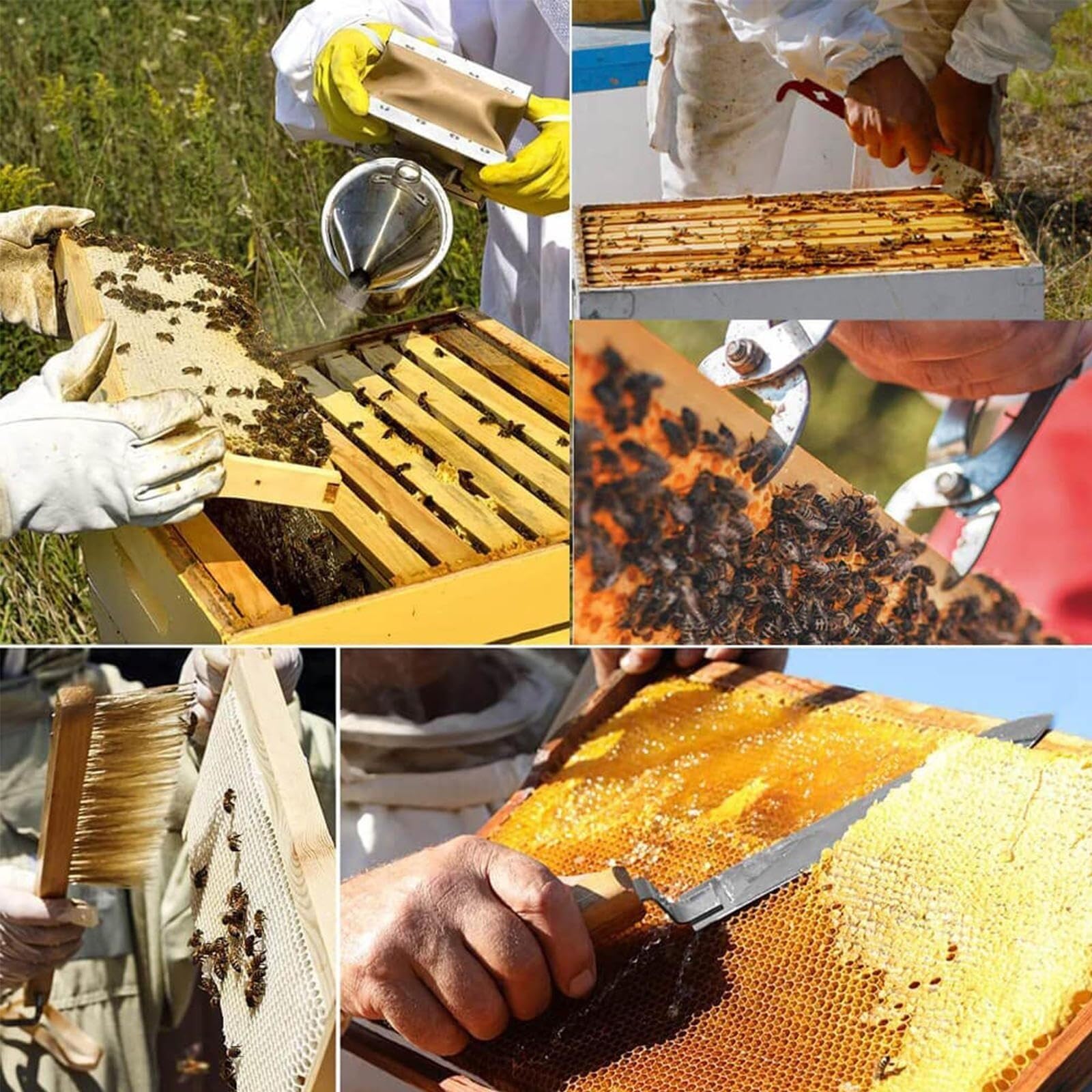 Kit de colmena, kit de herramientas de suministros de apicultura de 13 piezas, kit de herramientas profesional for principiantes de apicultura con abrigo grande, herramientas de colmena de rancho agrí
