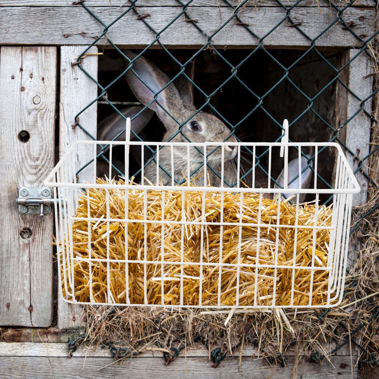 INOOMP Rabbit Hay Feeder Metal Rack Hanging Feeder for Caged Bunnies Small Animals Hay Dispenser Convenient Easy to Clean 8.66X5.12X4.13 Inches