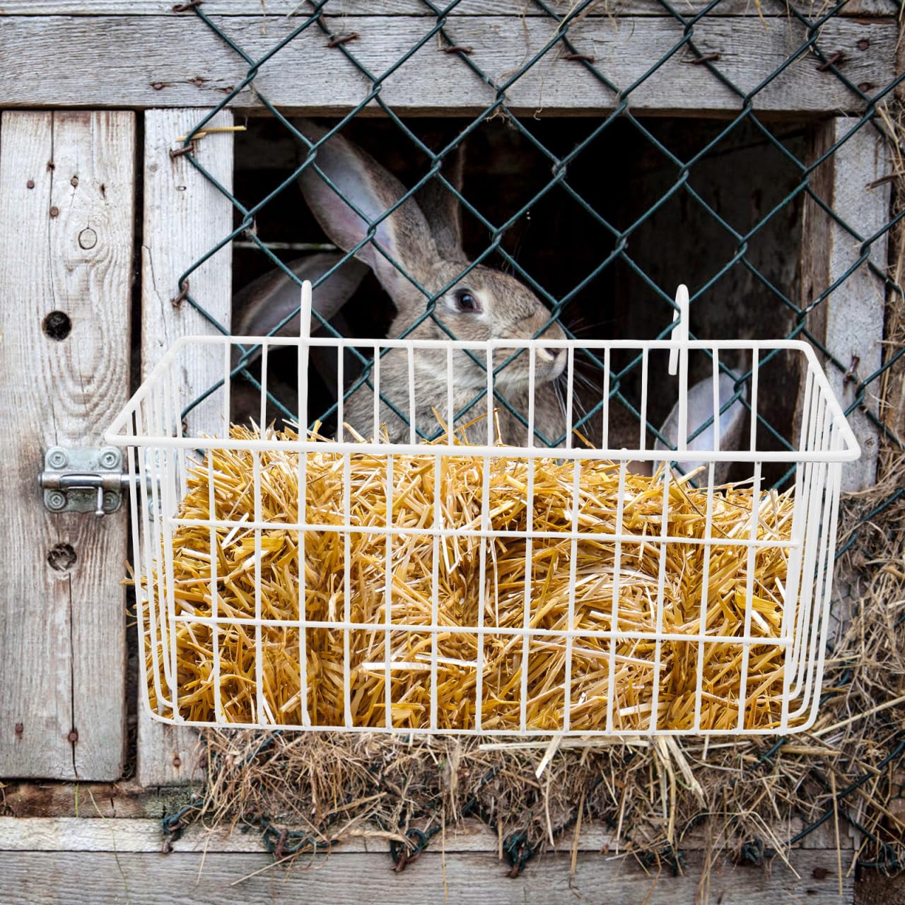 INOOMP Mangeoire à foin pour lapin, mangeoire à lapin, bac à herbe pratique pour chevaux, mangeoire à lapin, cochon d'Inde, panier de rangement en fer forgé blanc