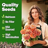 Vista 24 de HOME GROWN Más de 1000 semillas de cilantro para plantar en interiores o exteriores, hierbas tradicionales sin OMG, semillas de plantas de cilantro