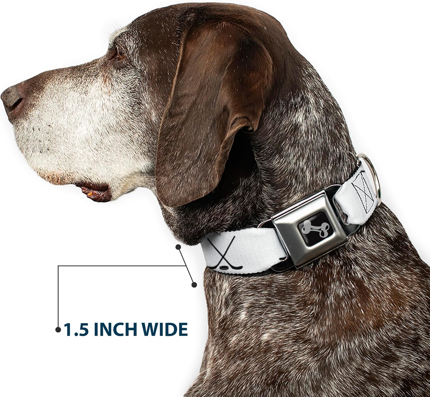 Dog Collar Seatbelt Buckle Hockey Sticks and Puck White Black 15 to 26 Inches 1.0 Inch Wide