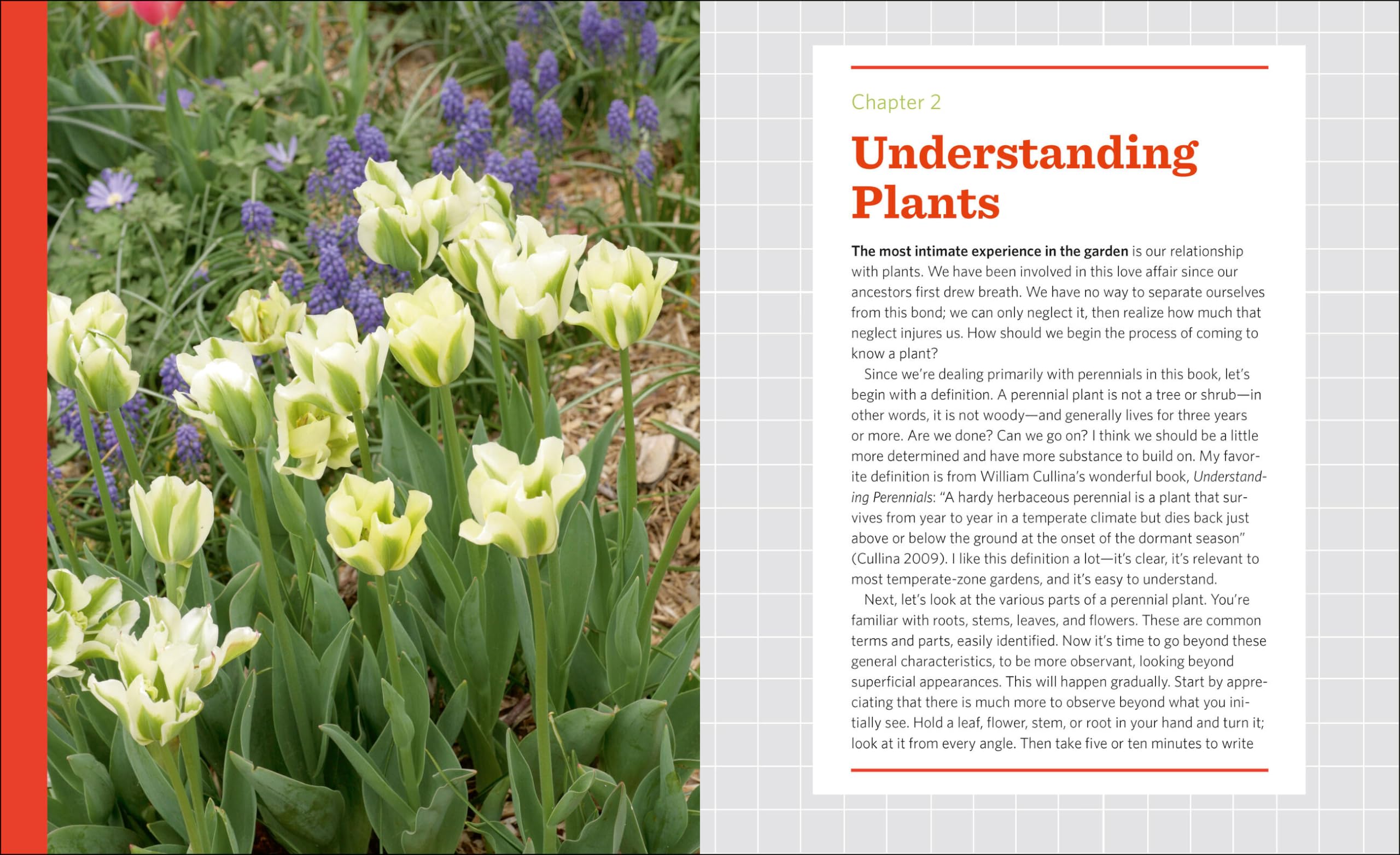 The Know Maintenance Perennial Garden
