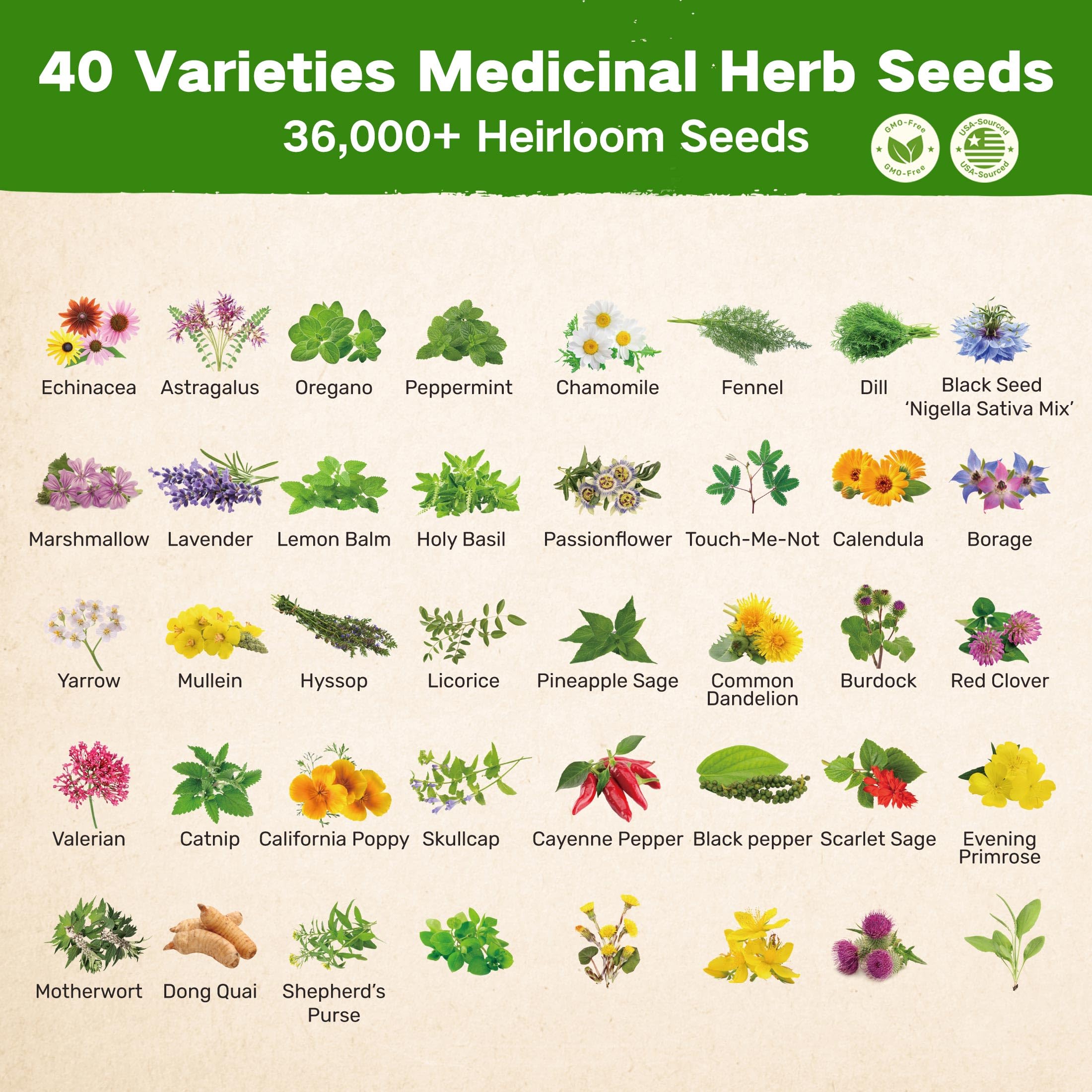 Ancestral Apothecary Herb Seeds - Grow Your Own! -2